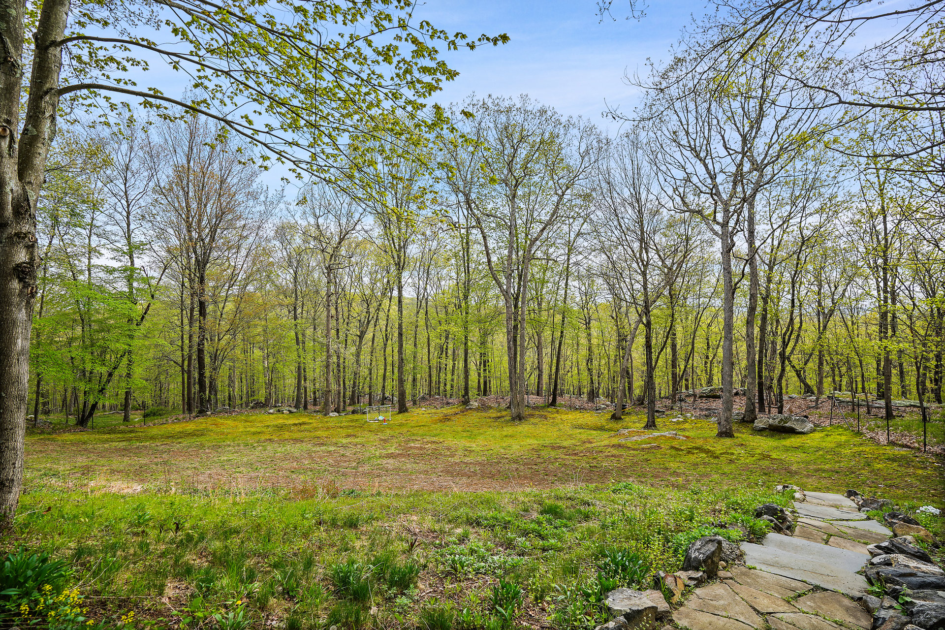 8 Deer Run Court