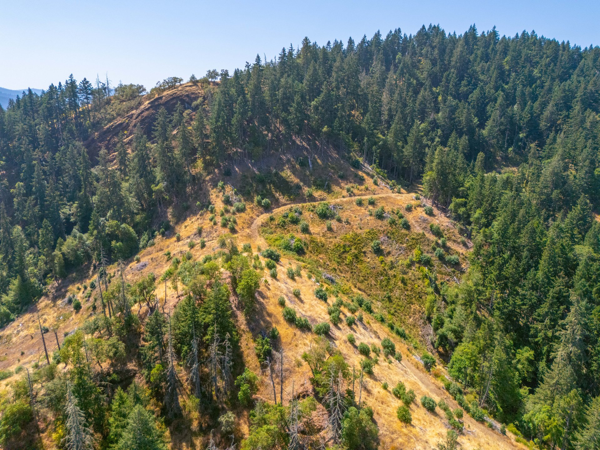 STRICKLAND BOULDER FOREST