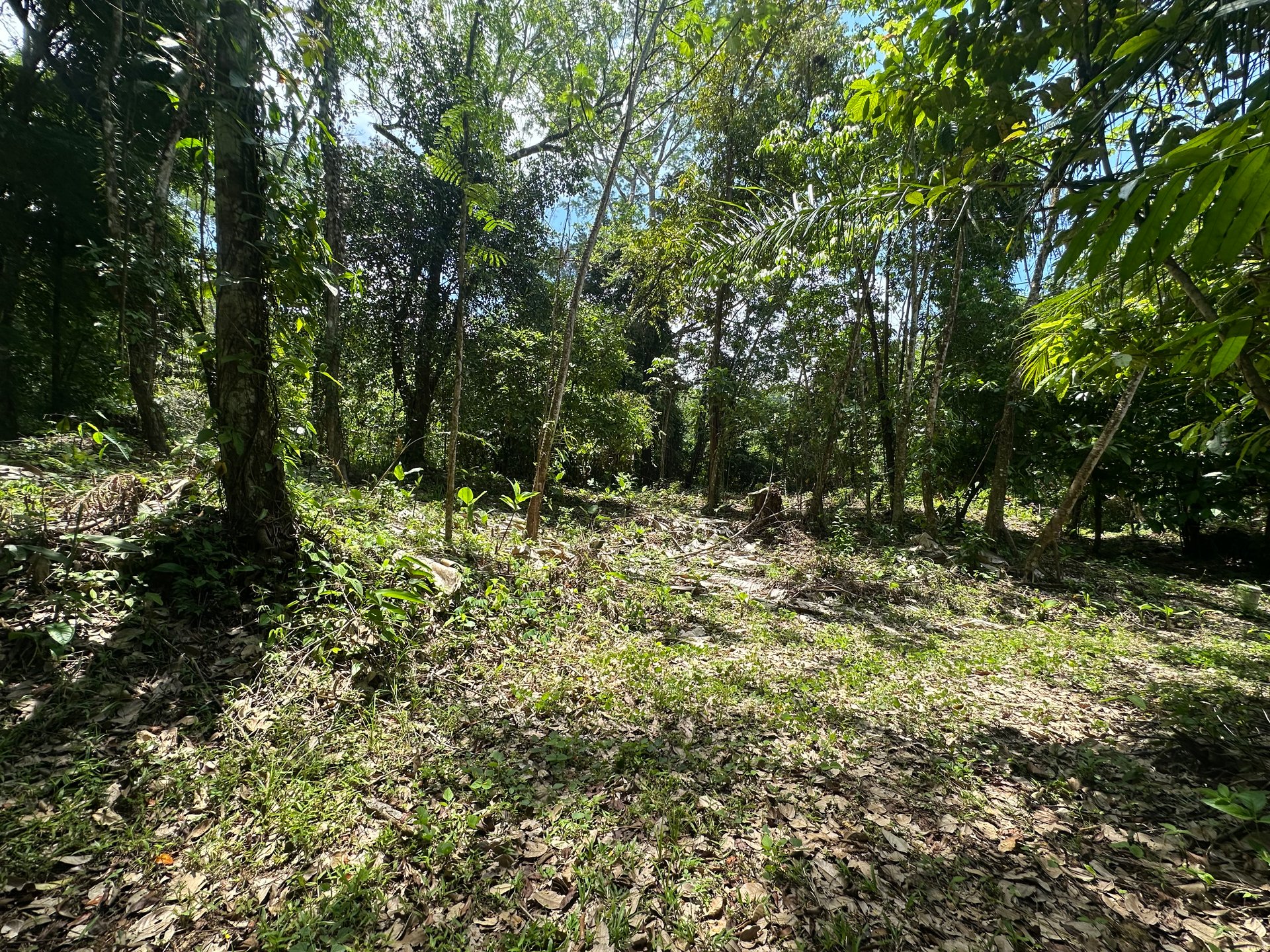 Ocean View Estate Lot with Private Waterfall – Uvita