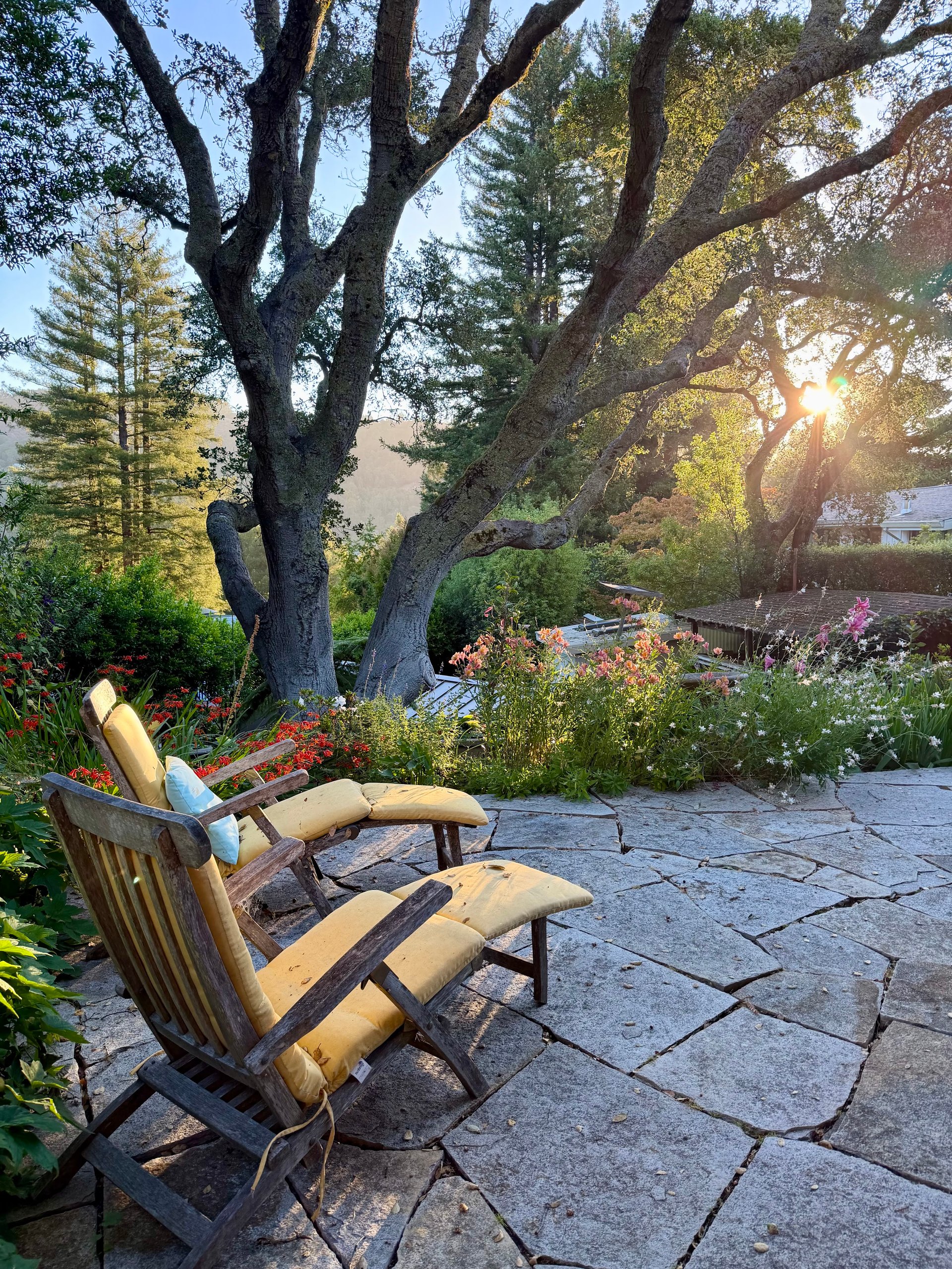 Mill Valley Legacy Property