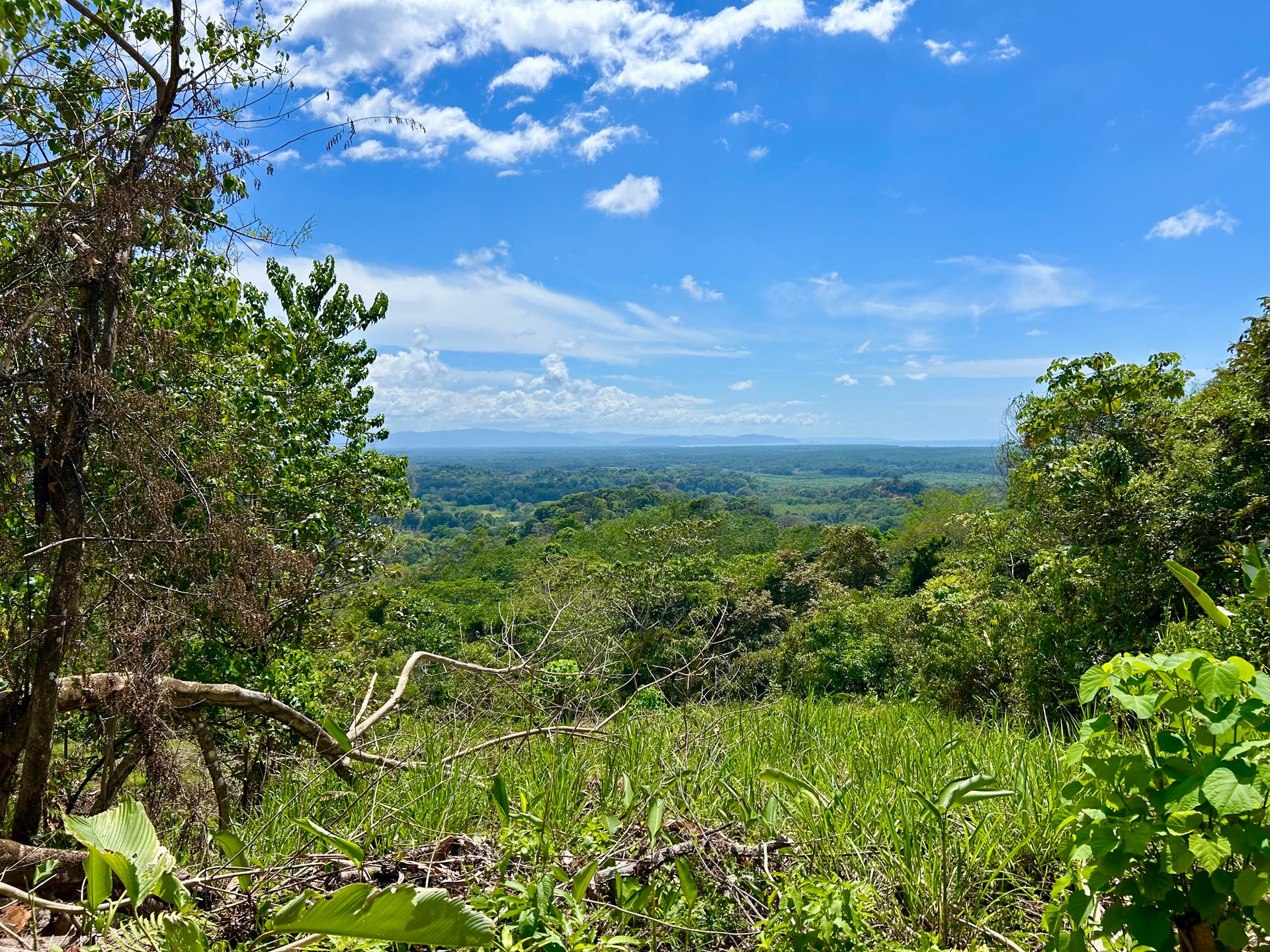 Price Reduced! Ocean View Lots in San Buenas – Just $70K Each