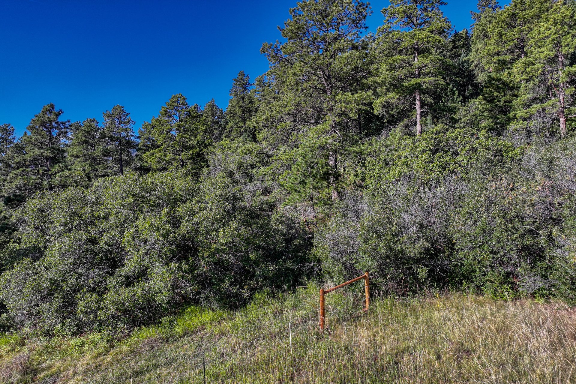 00 Columbine Road