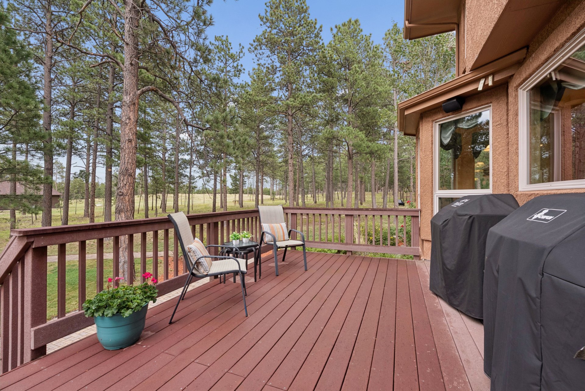 14953 Snowy Pine Point
