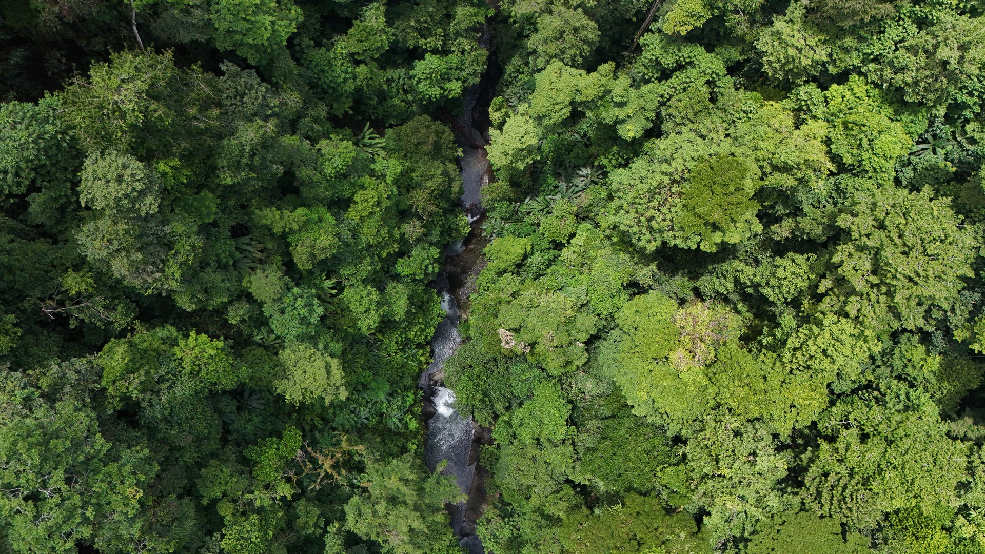 Uvita Development Farm - 45.4 Acres Estate
