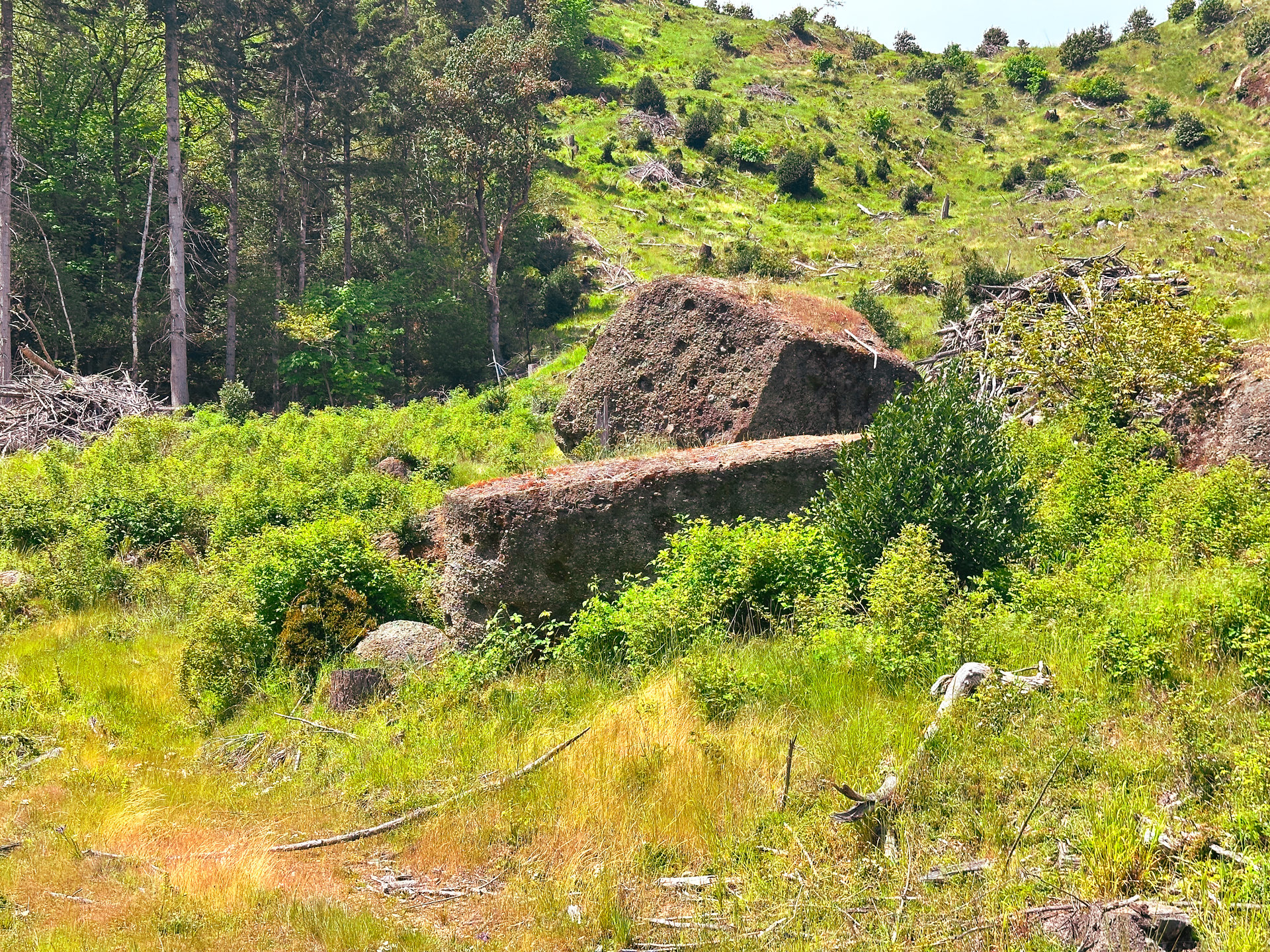 STRICKLAND CANYON HOMESITE