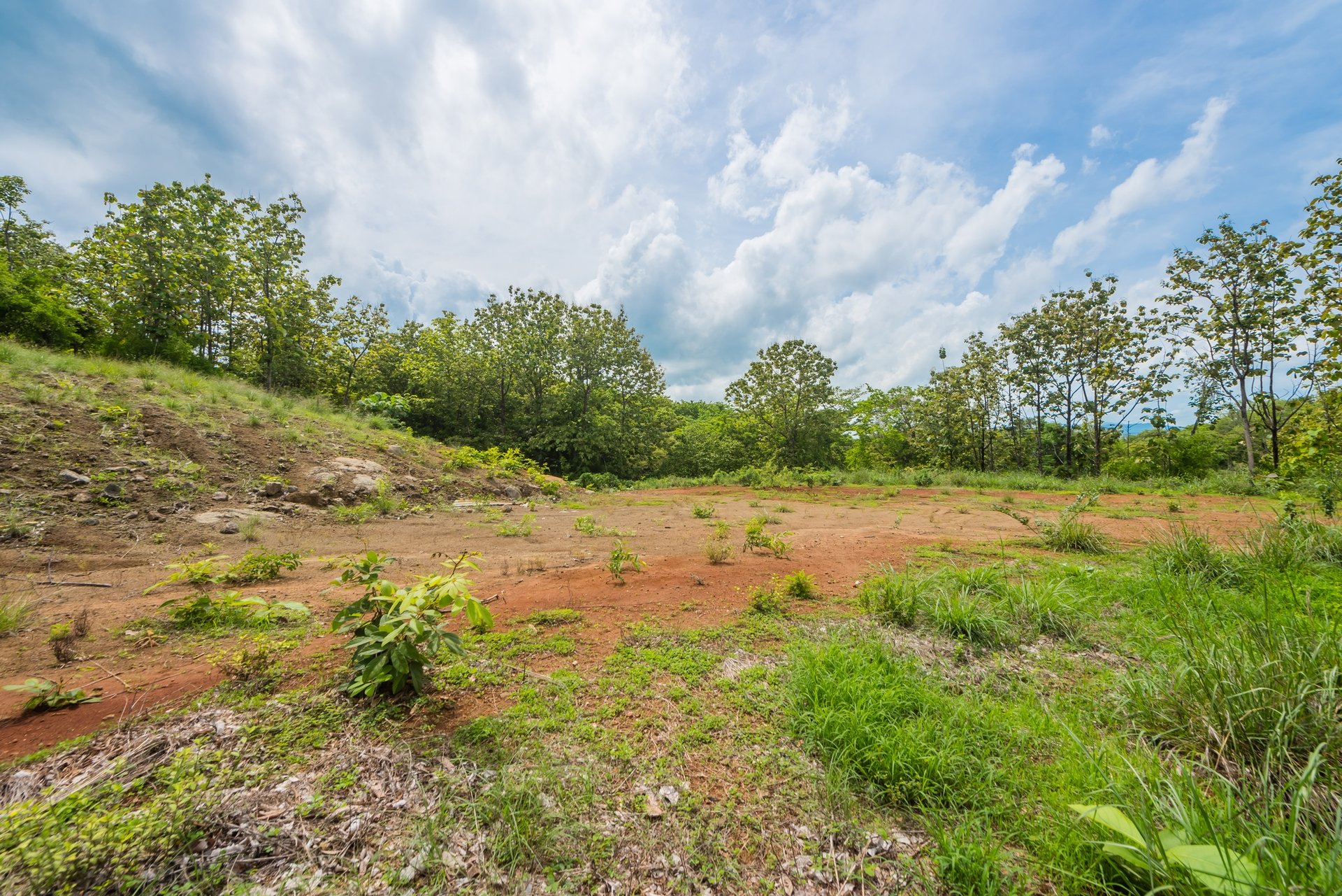 Lot 81, Rancho Villareal