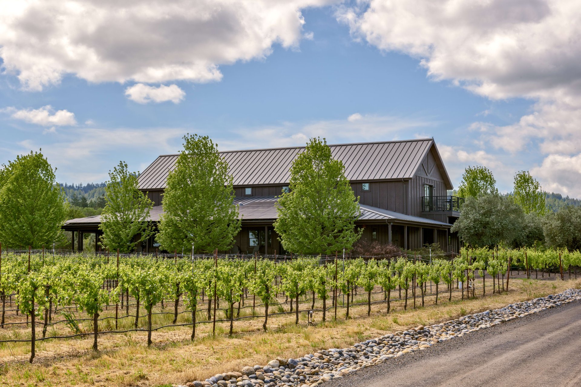 Dry Creek Valley -Production Facility, Tasting Room, & Guest Estate Residence 