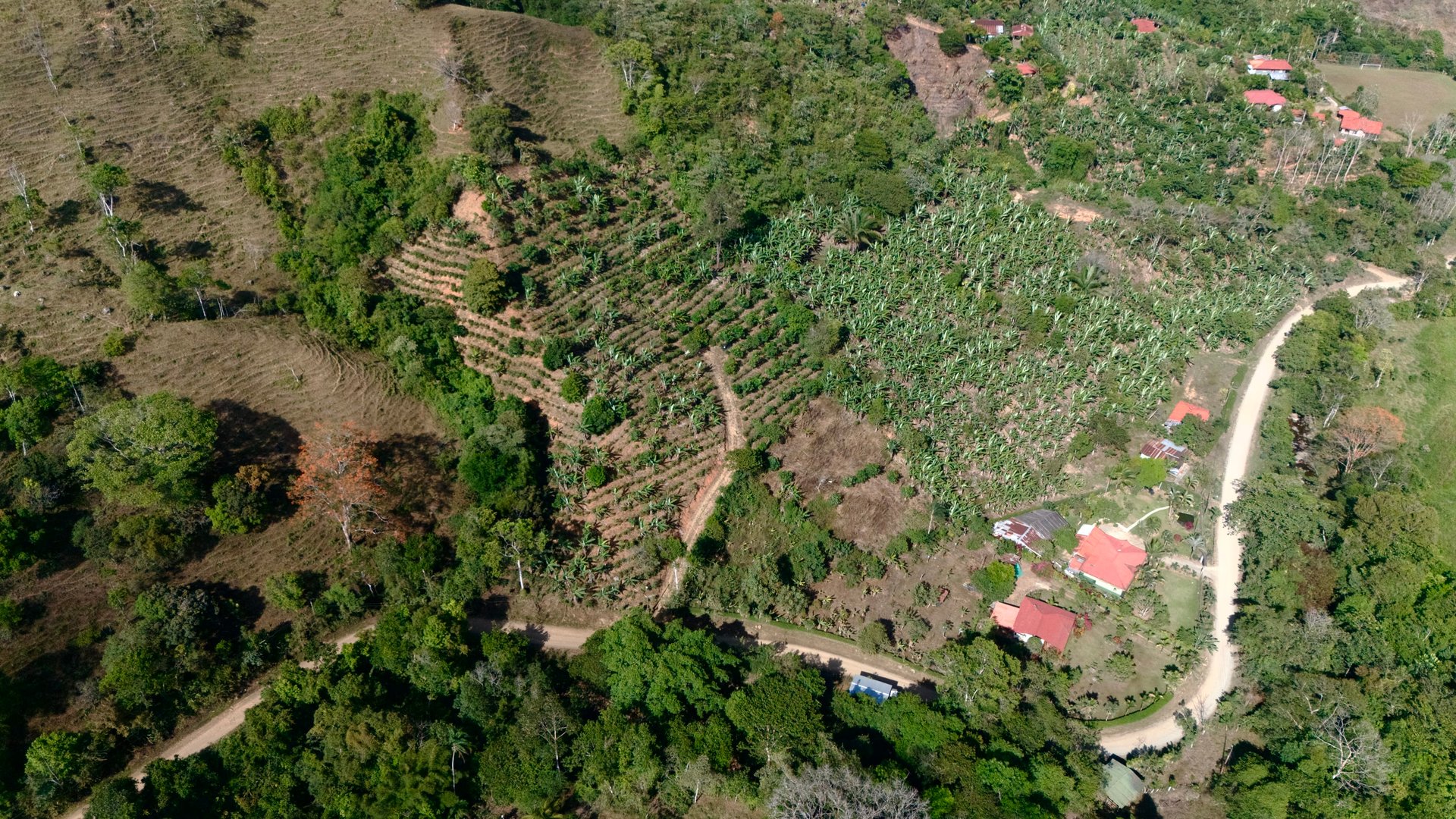 Over 2.5 Acres in Ceibo, Planted with Coffee and Fruits