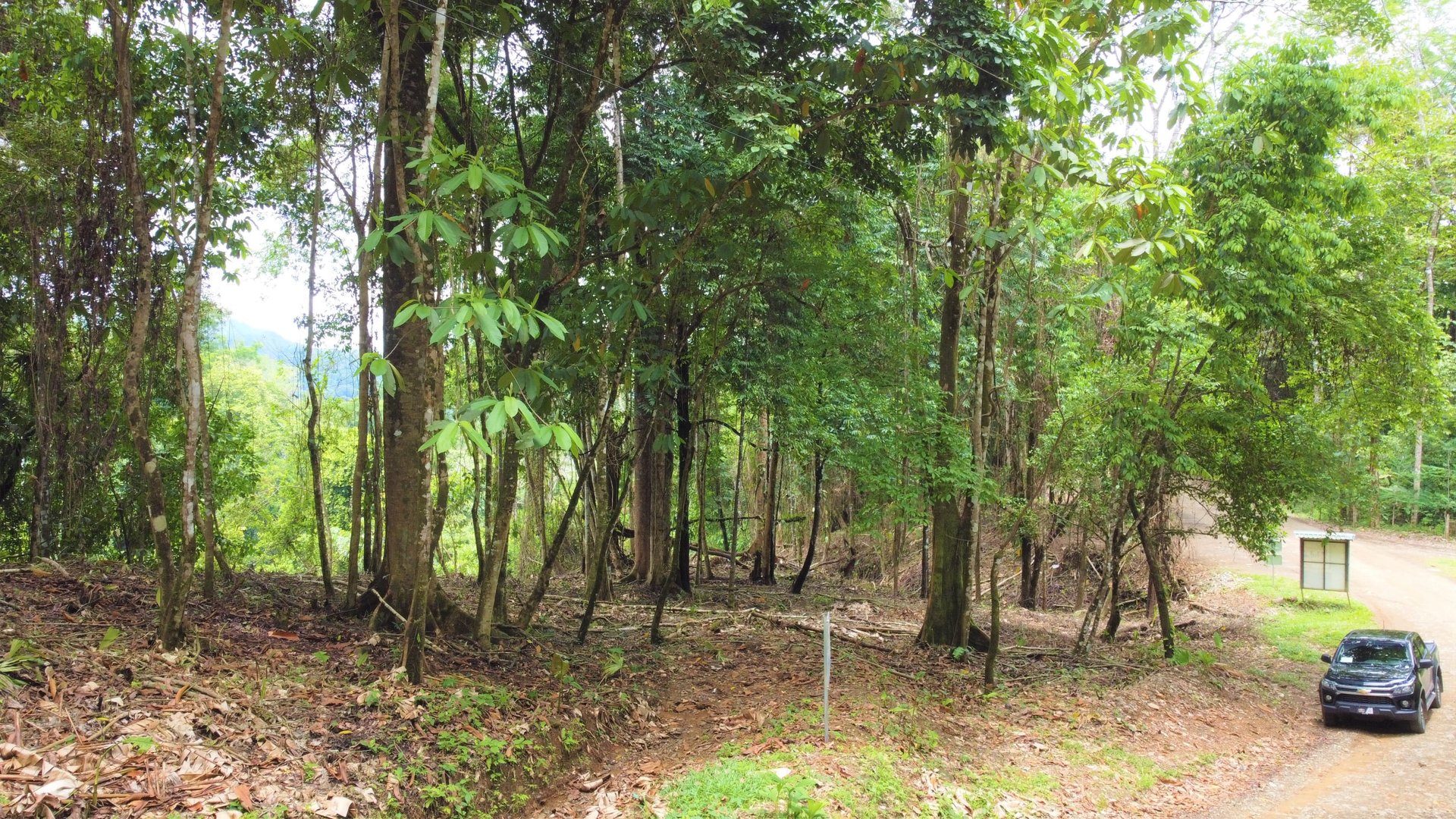 3.5 Acres of Paradise In Uvita, Jungle View!