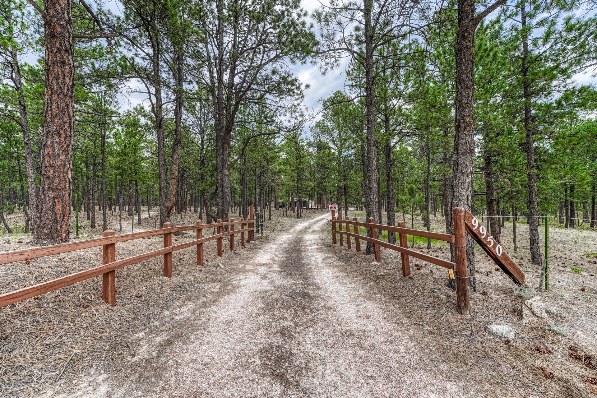 9950 Pine Park Trail