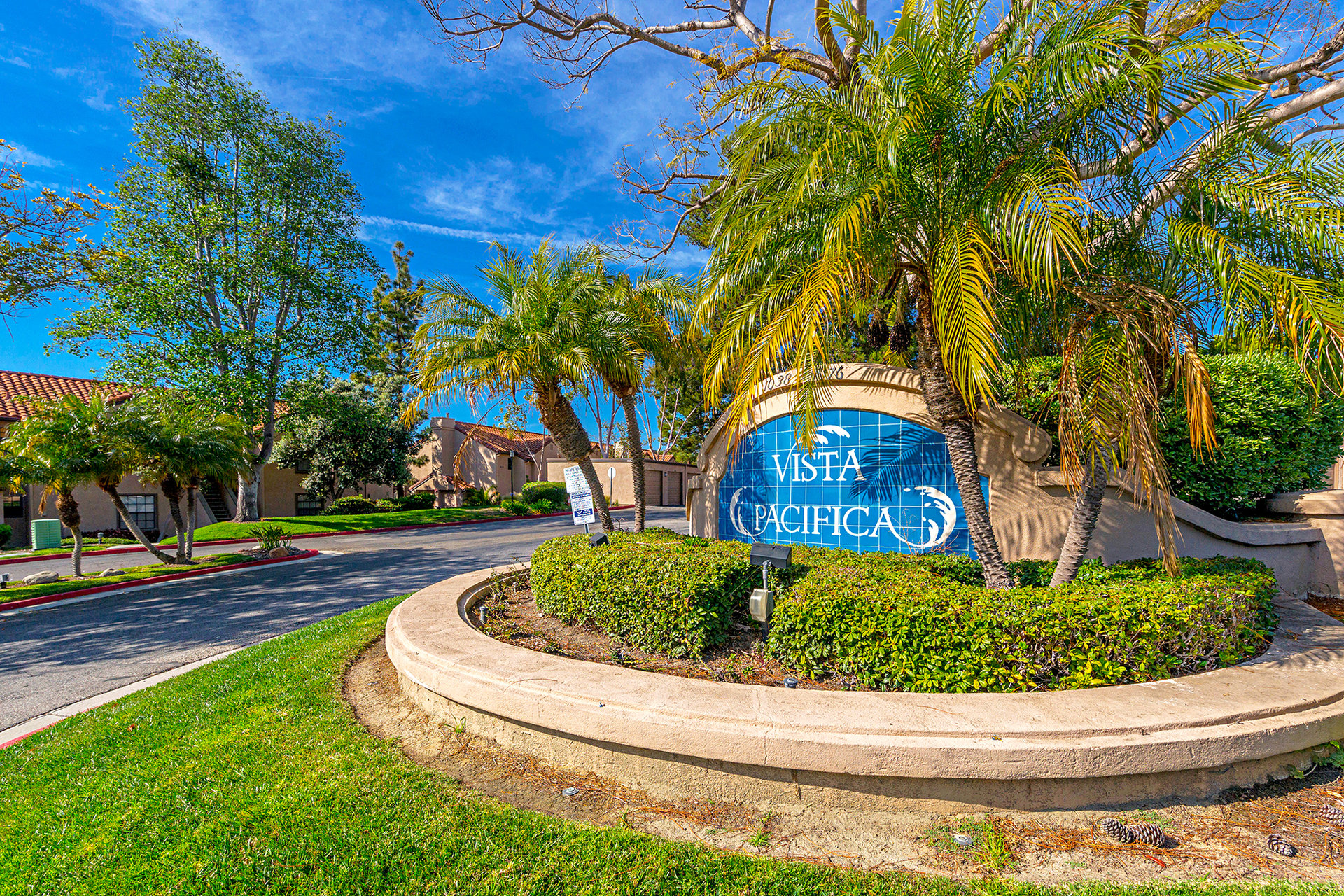 1042 Calle Del Cerro 203