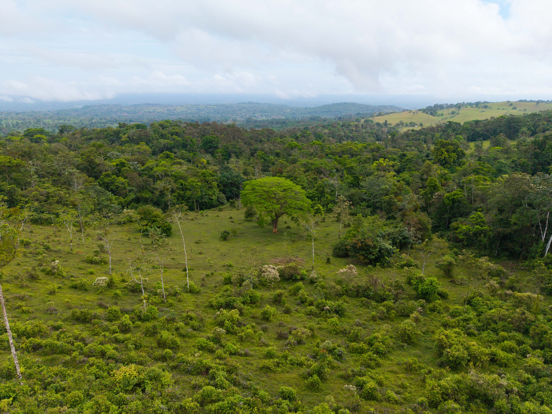 Finca Las Zompopas-Río Celeste | 113-Acre Biodiverse Property in Bijagua, Ideal for Eco-Tourism, Private Retreats, or Sustainable Development