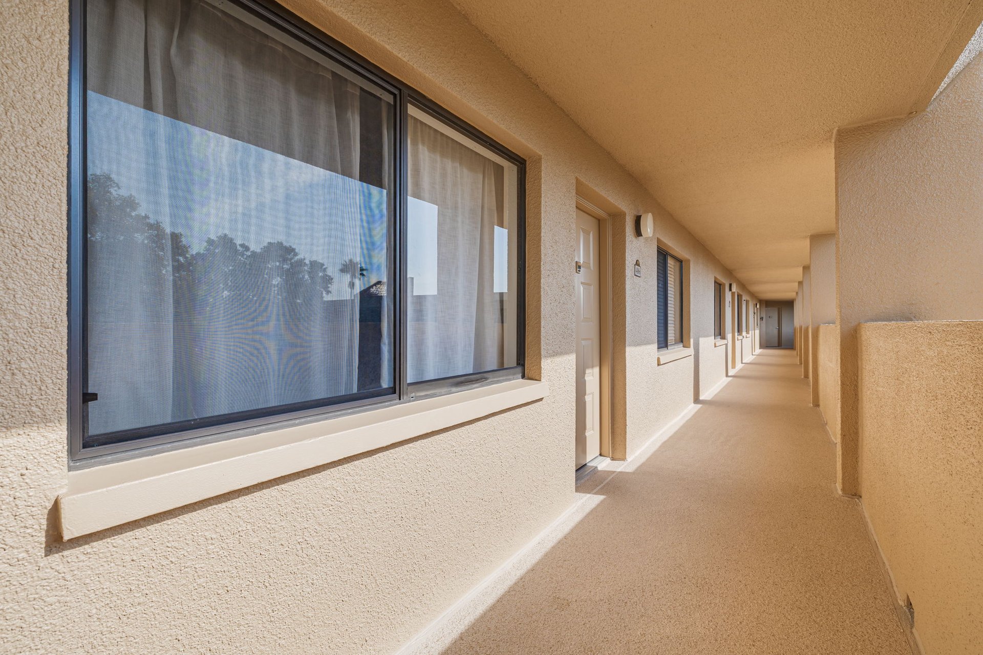 1 Bedroom Condo in Clearwater