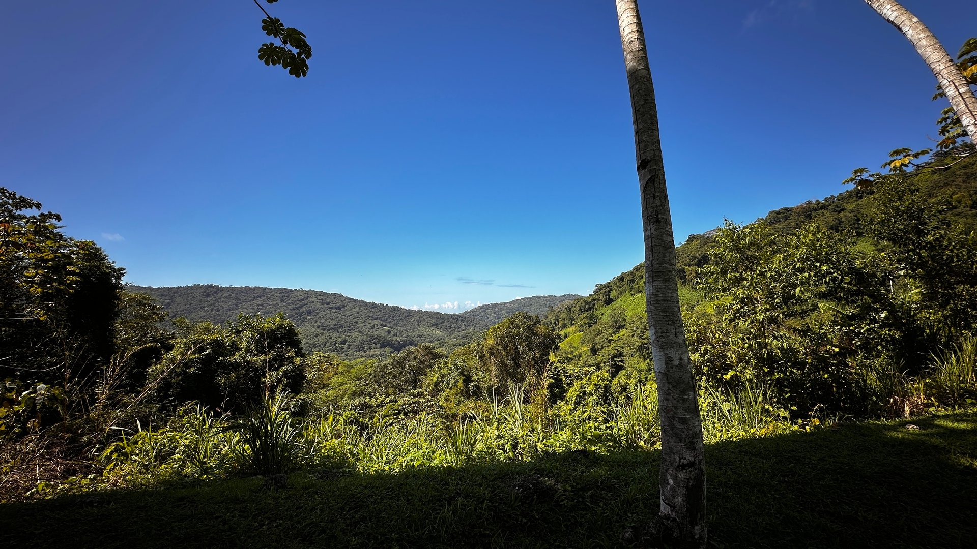 Ready To Build Lot Minutes From the Beach Dominical!