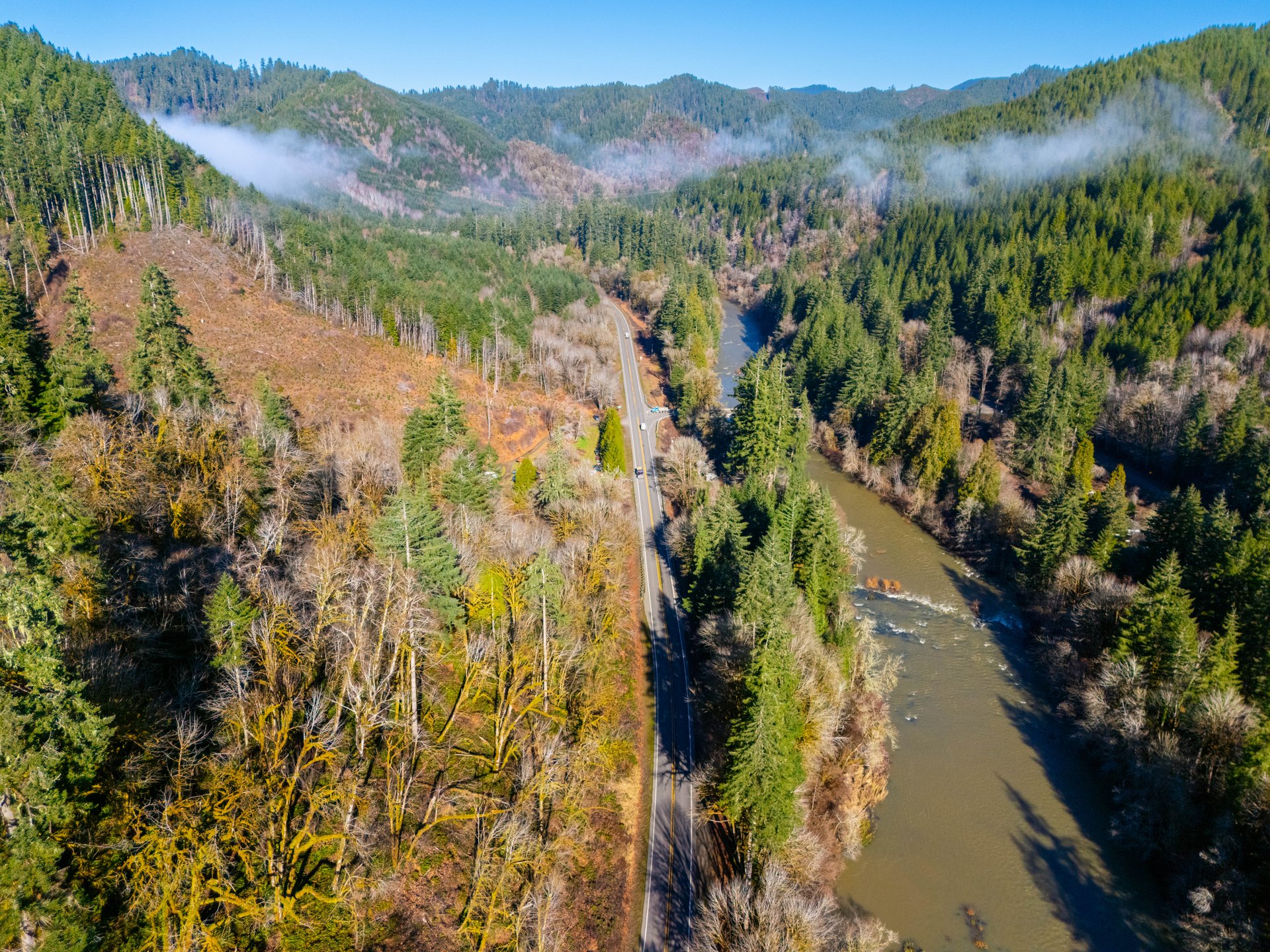 Waite Creek Woodlands