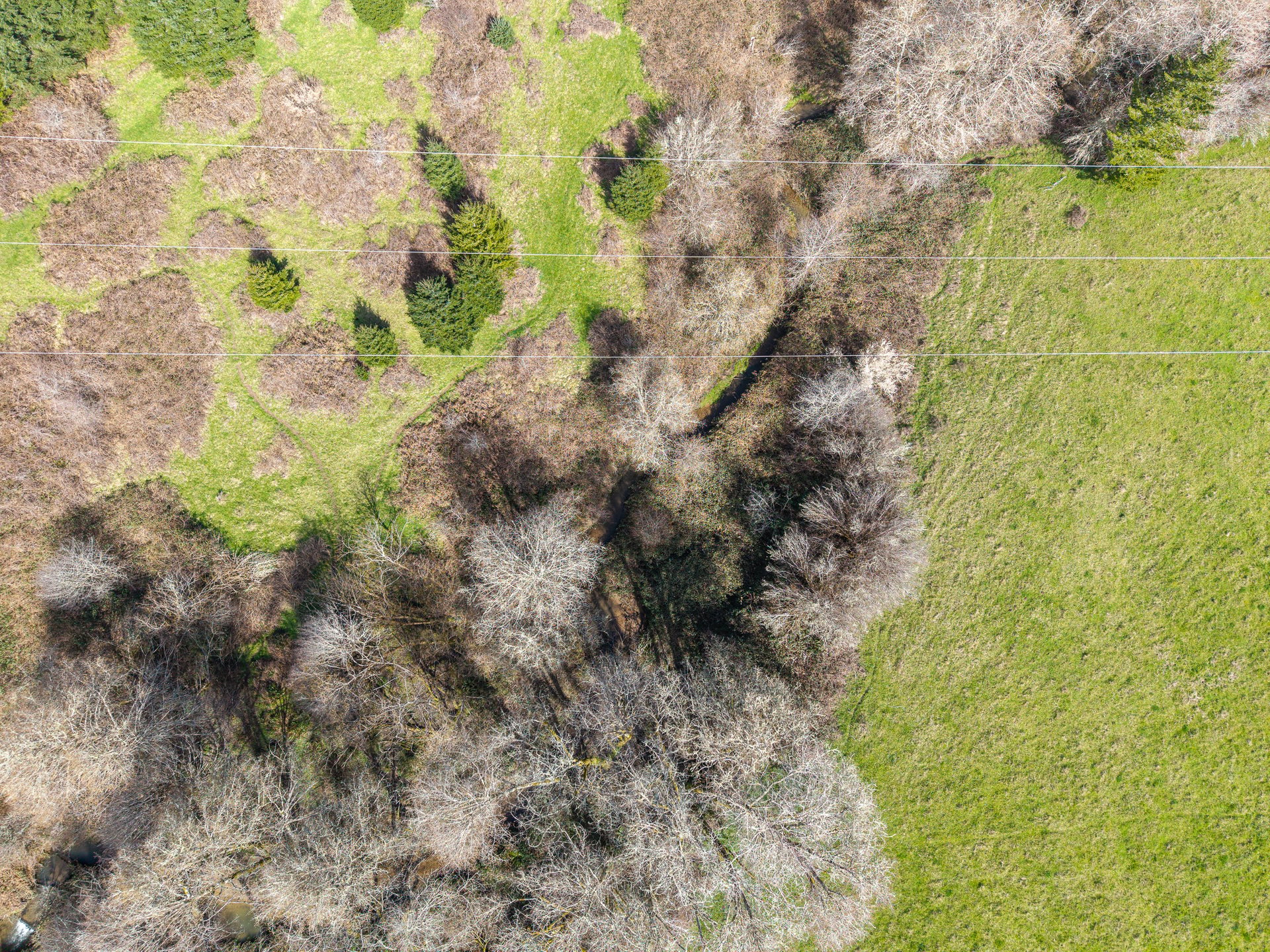 LITTLE ELK TREEFARM