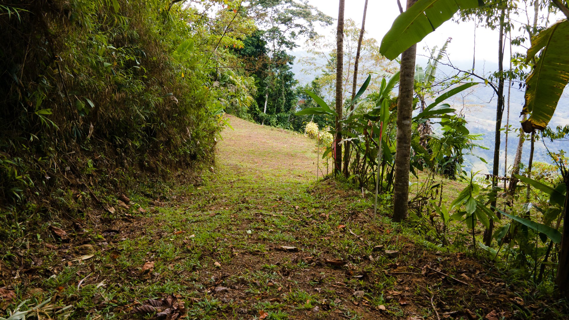 Incredible Mountain and Whale Tail View Home Site Above Uvita