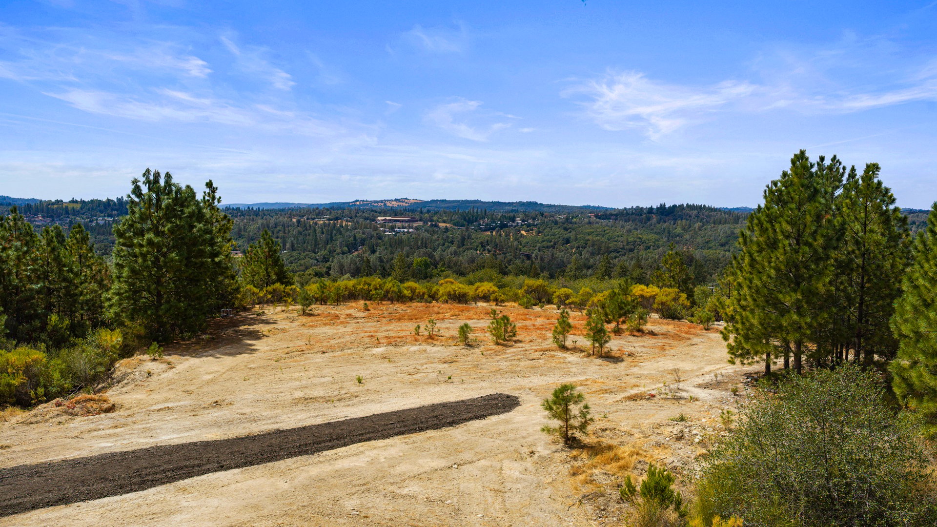 Cleared rural land with scattered pines and wooded hills beyond.