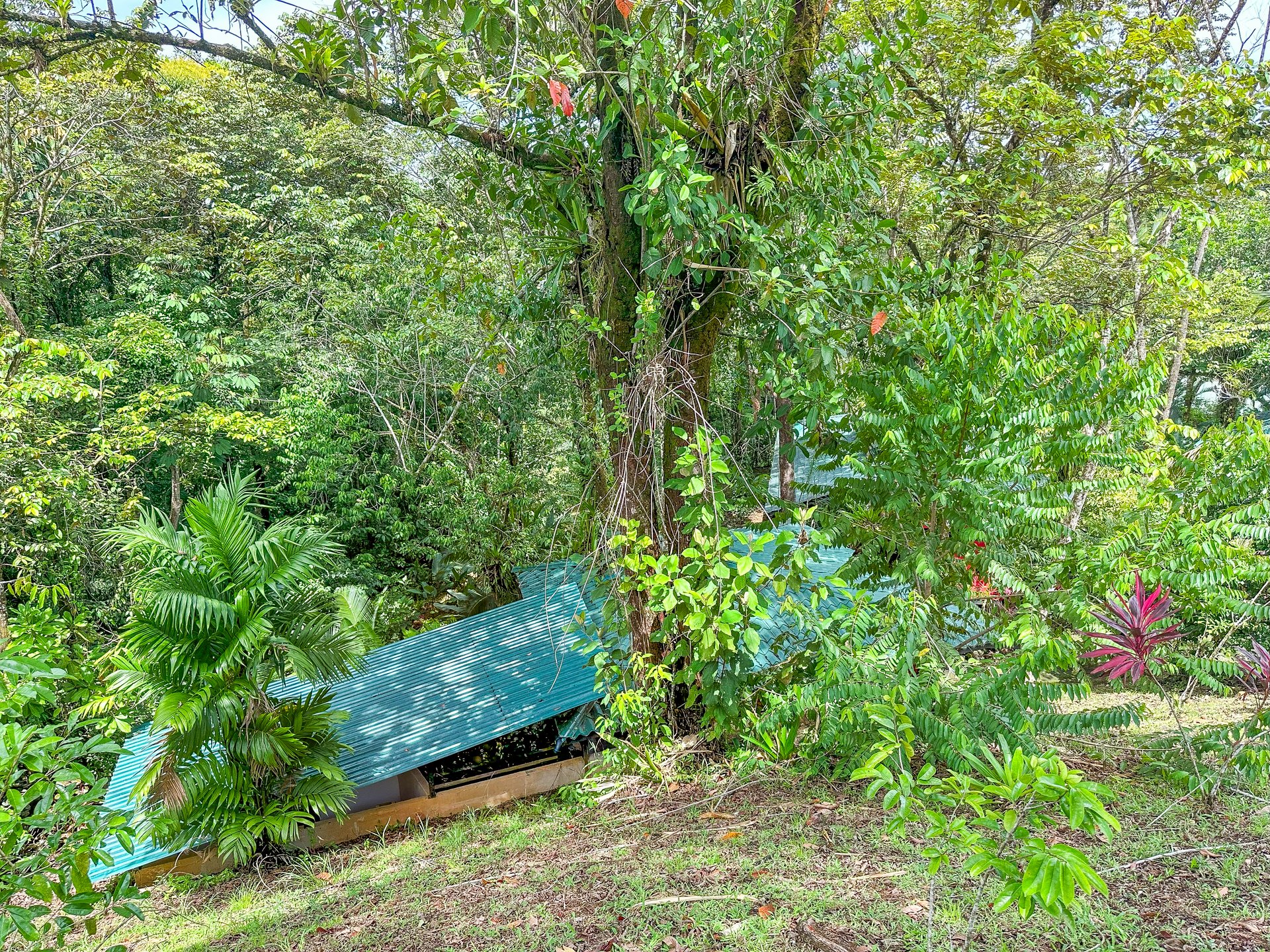 Ojochal Property for Sale – Cabins, Restaurant & 3-Bed Home