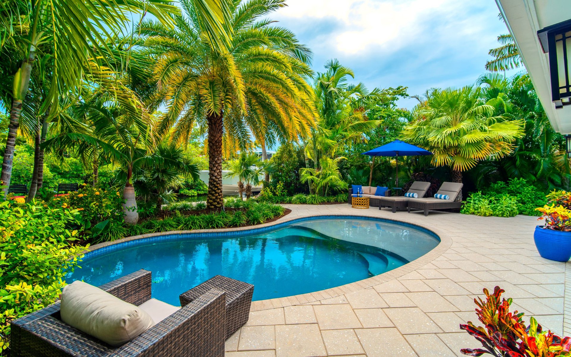 Client Testimonials & Success Stories | Lisa Swanson