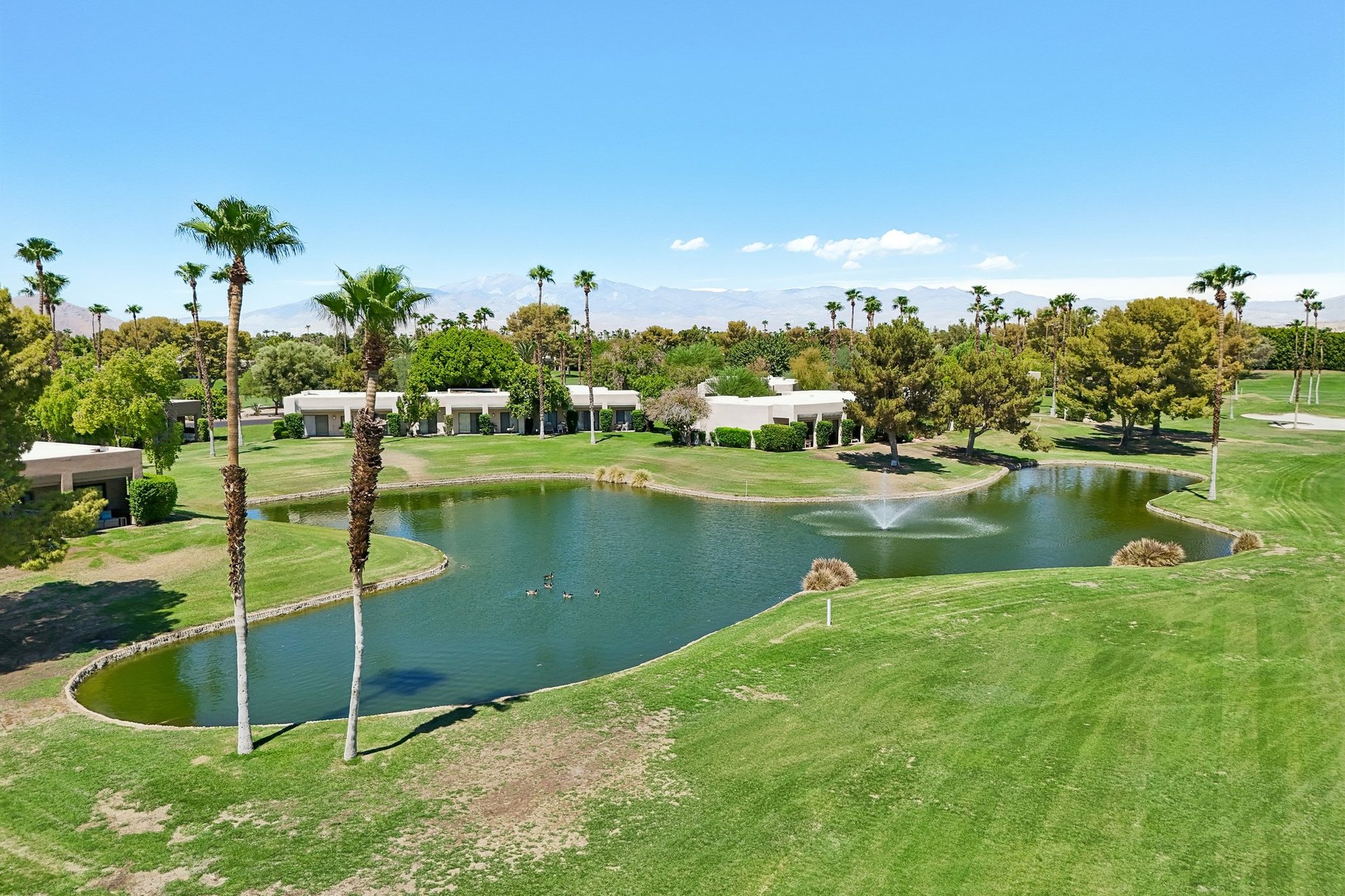 29086 Desert Princess Dr