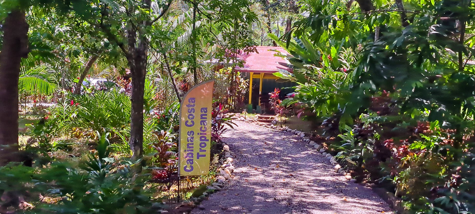 8 Cabinas with Swimming Pool on Lush Jungle Property | Uvita
