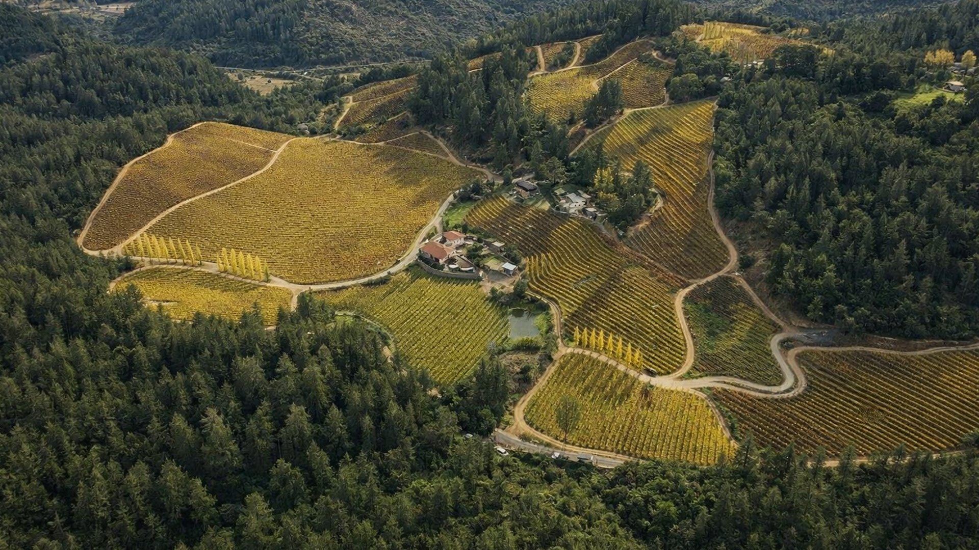 The Pezzy King Estate