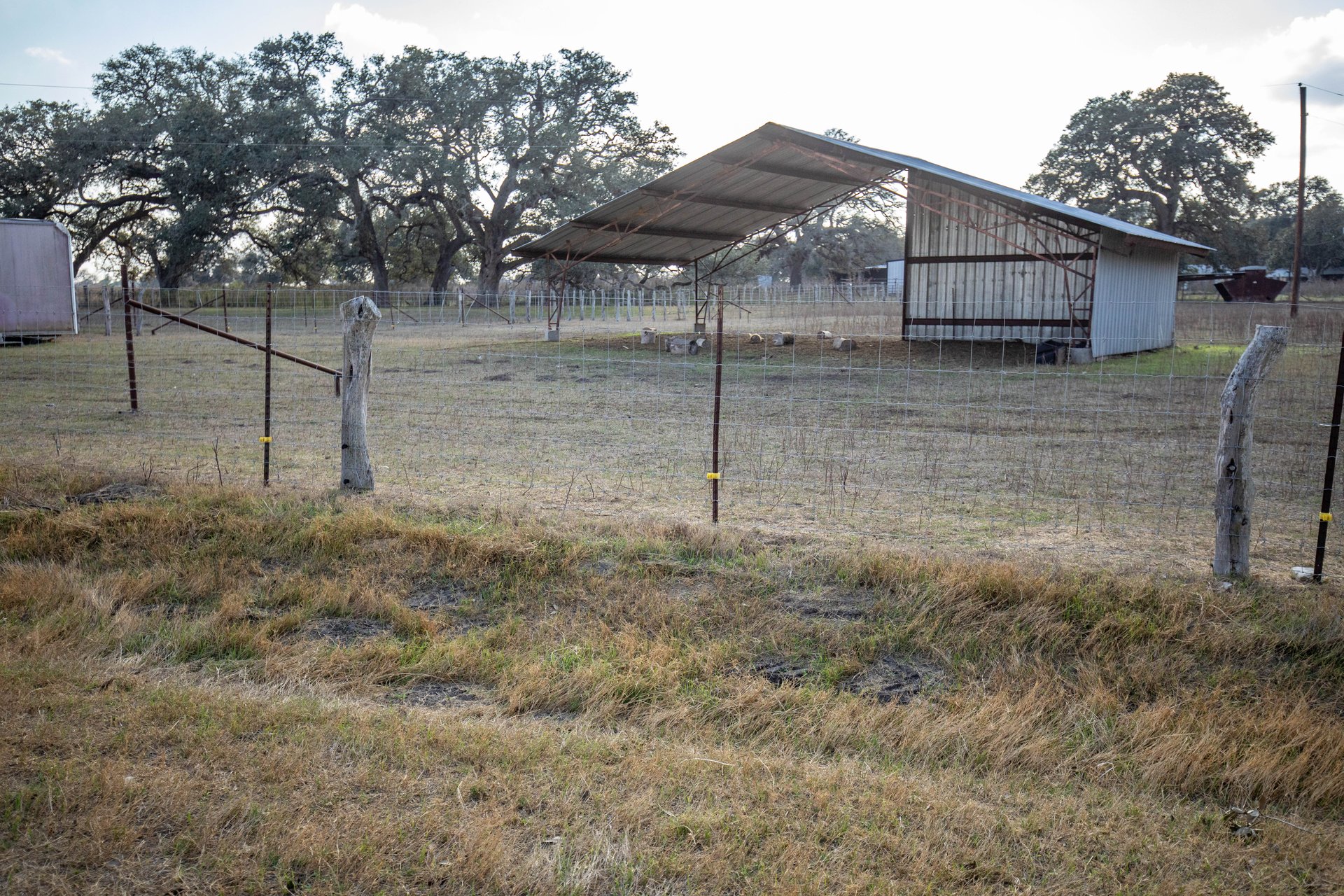 1019 Tulley Road | 45.86± Acres | Cuero, DeWitt County, TX