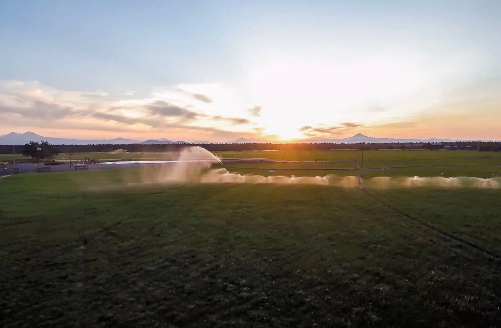 The Y Bell Ranch