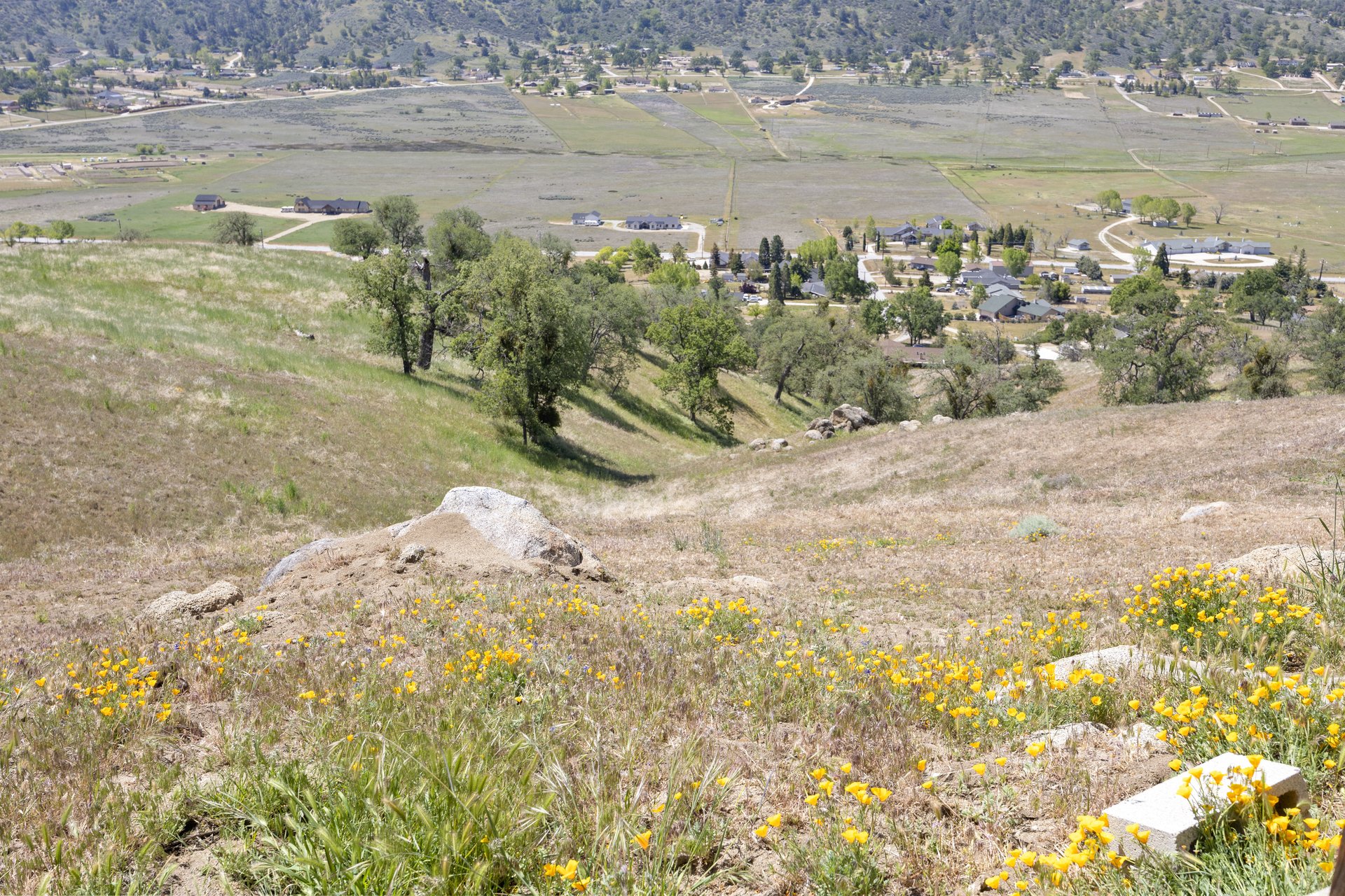 Mountain Views & Peaceful Living | 27020 Barkes Way