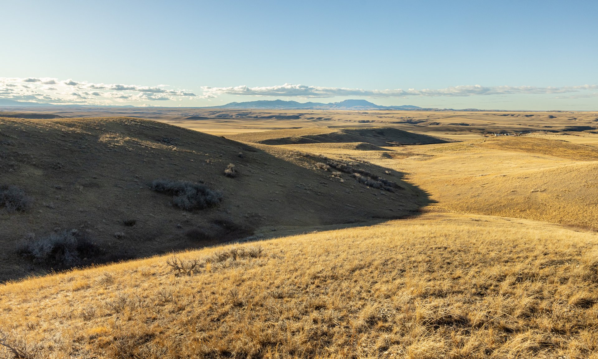 Prairie Rise Ranch