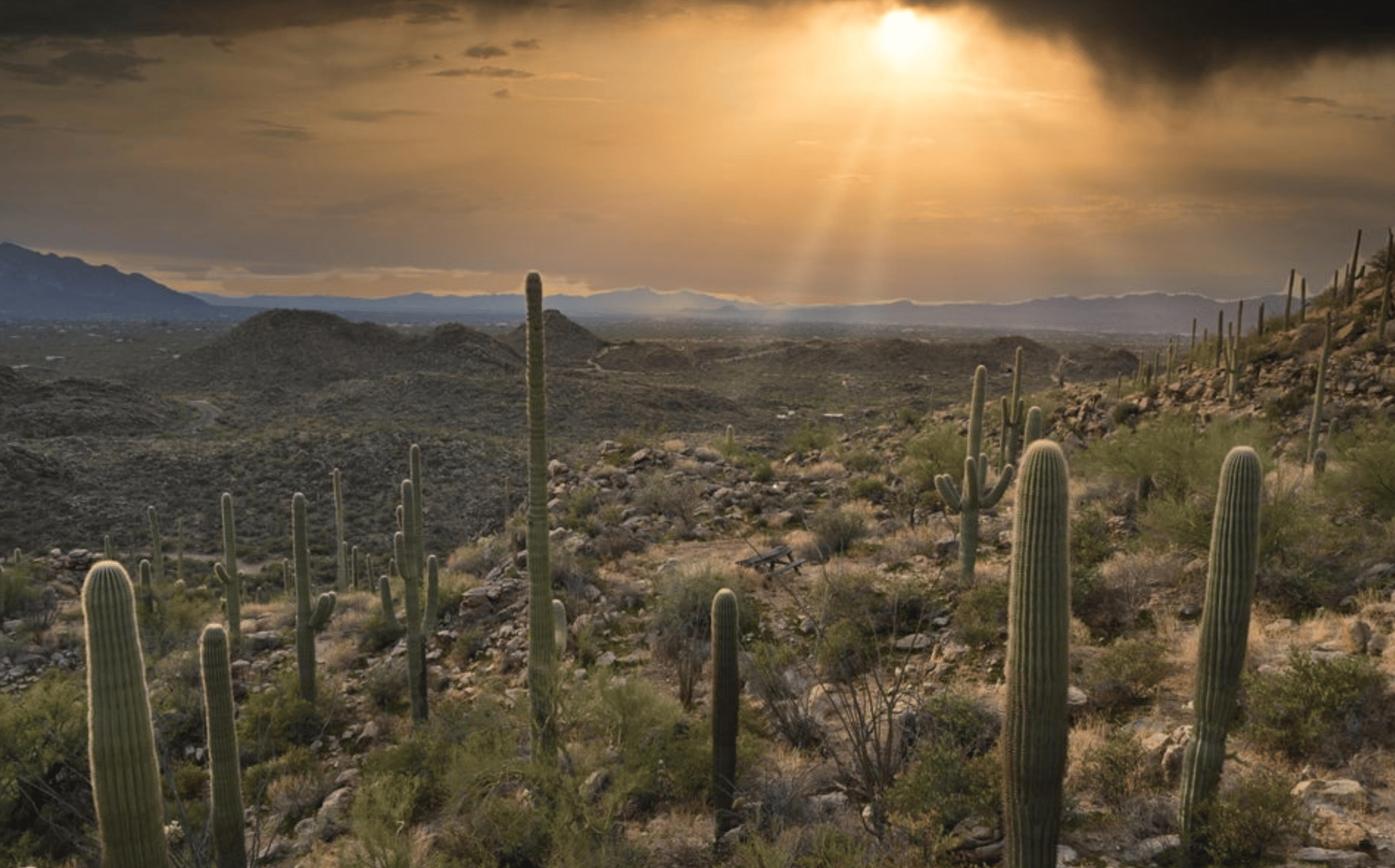 Hacienda - Lot #2 - 14474 N. Old Ranch House Road