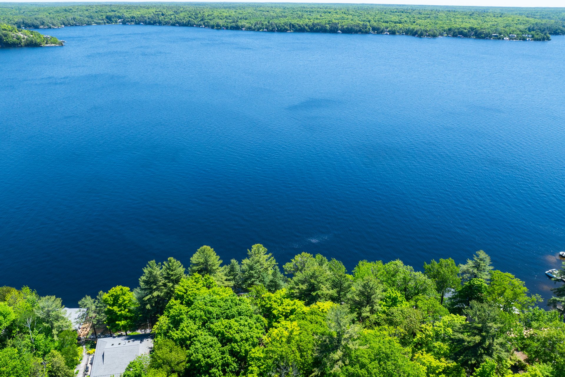 Lake Muskoka