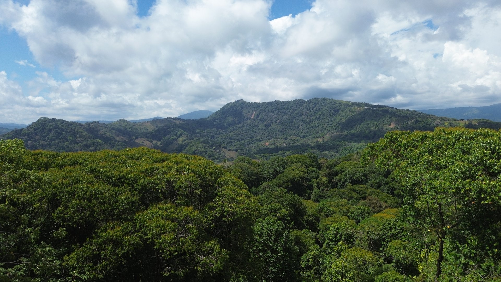 Your Private Jungle Retreat Just Minutes from Dominical