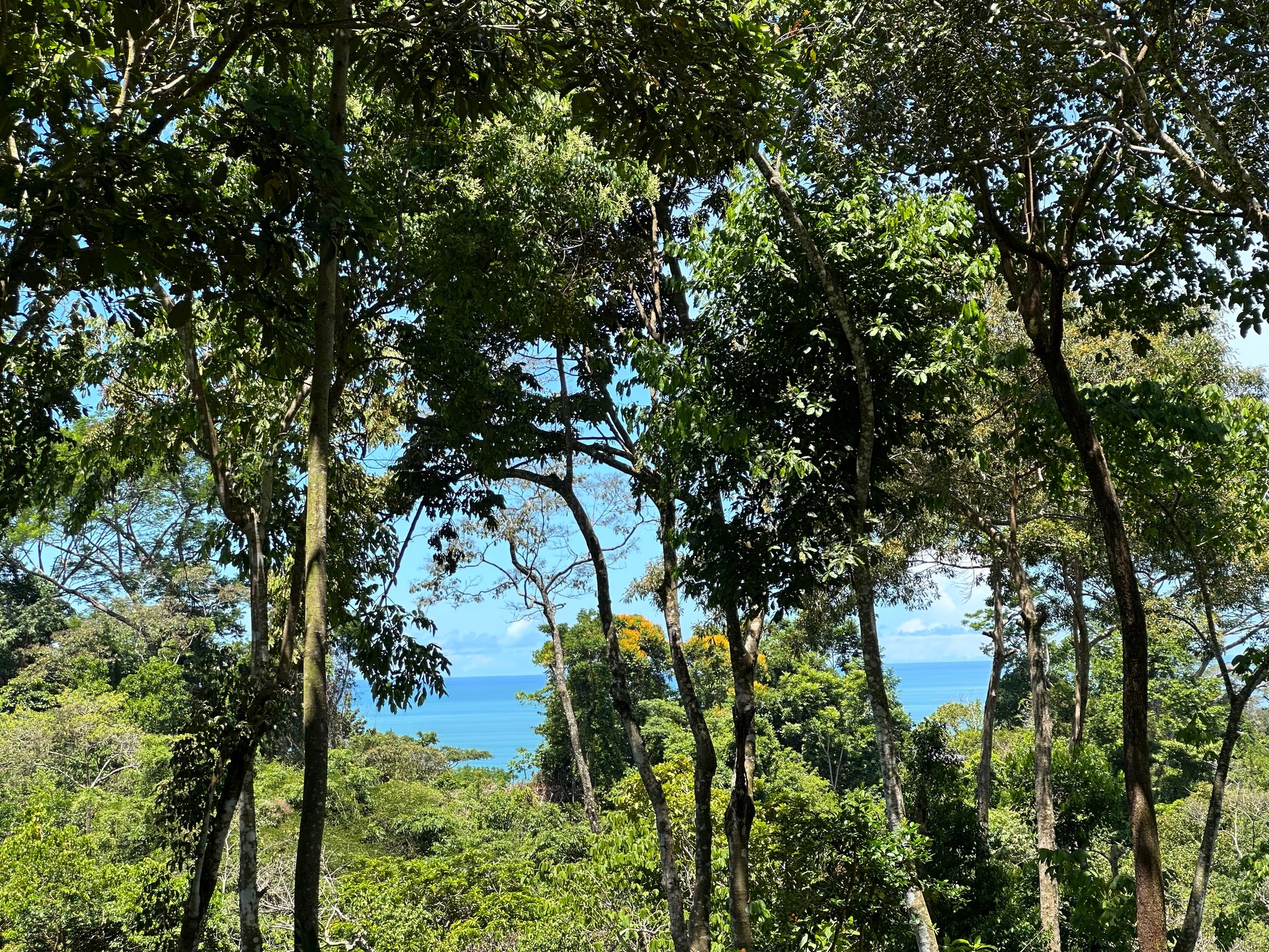 Ocean View Lot in Paradise Breezes, Hatillo - Ready to build