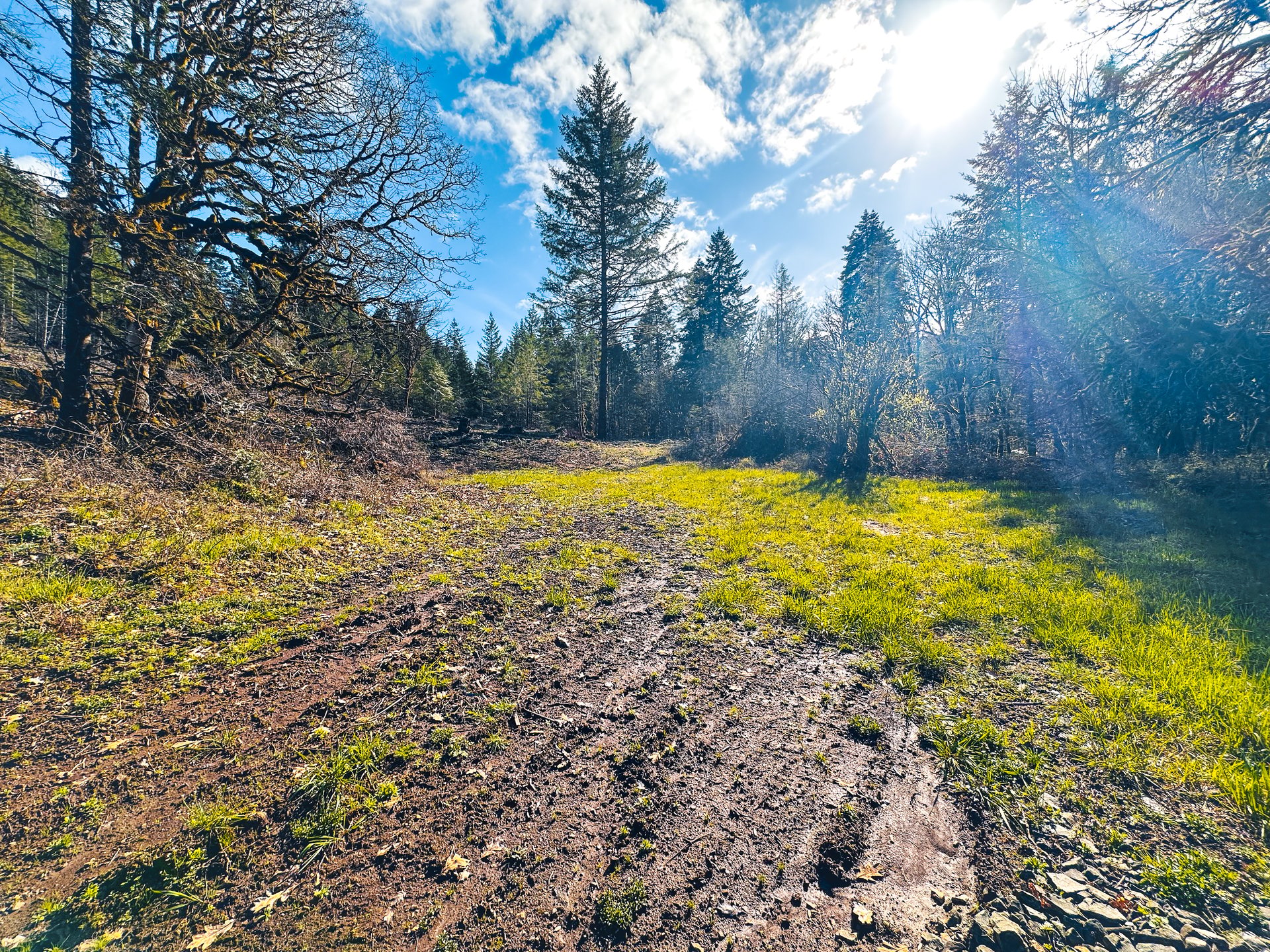 Sharewater Homesite