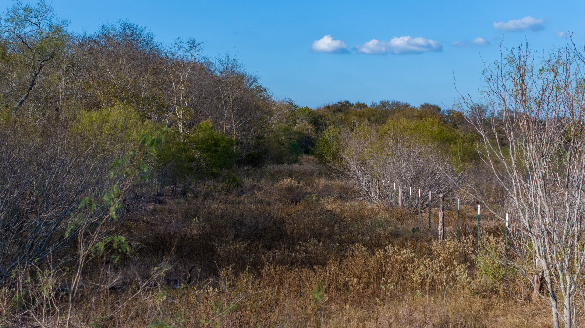 Gonzales County | 104+/- Acres