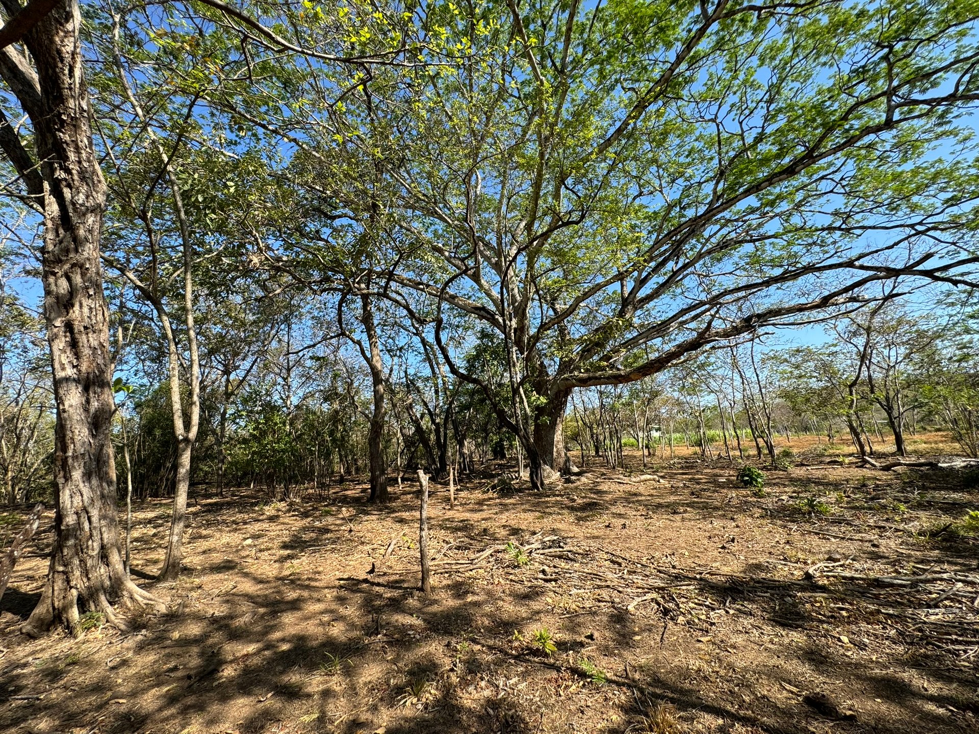 Beautiful Estate Lots Strategically Located in Villareal – Tamarindo – Guanacaste