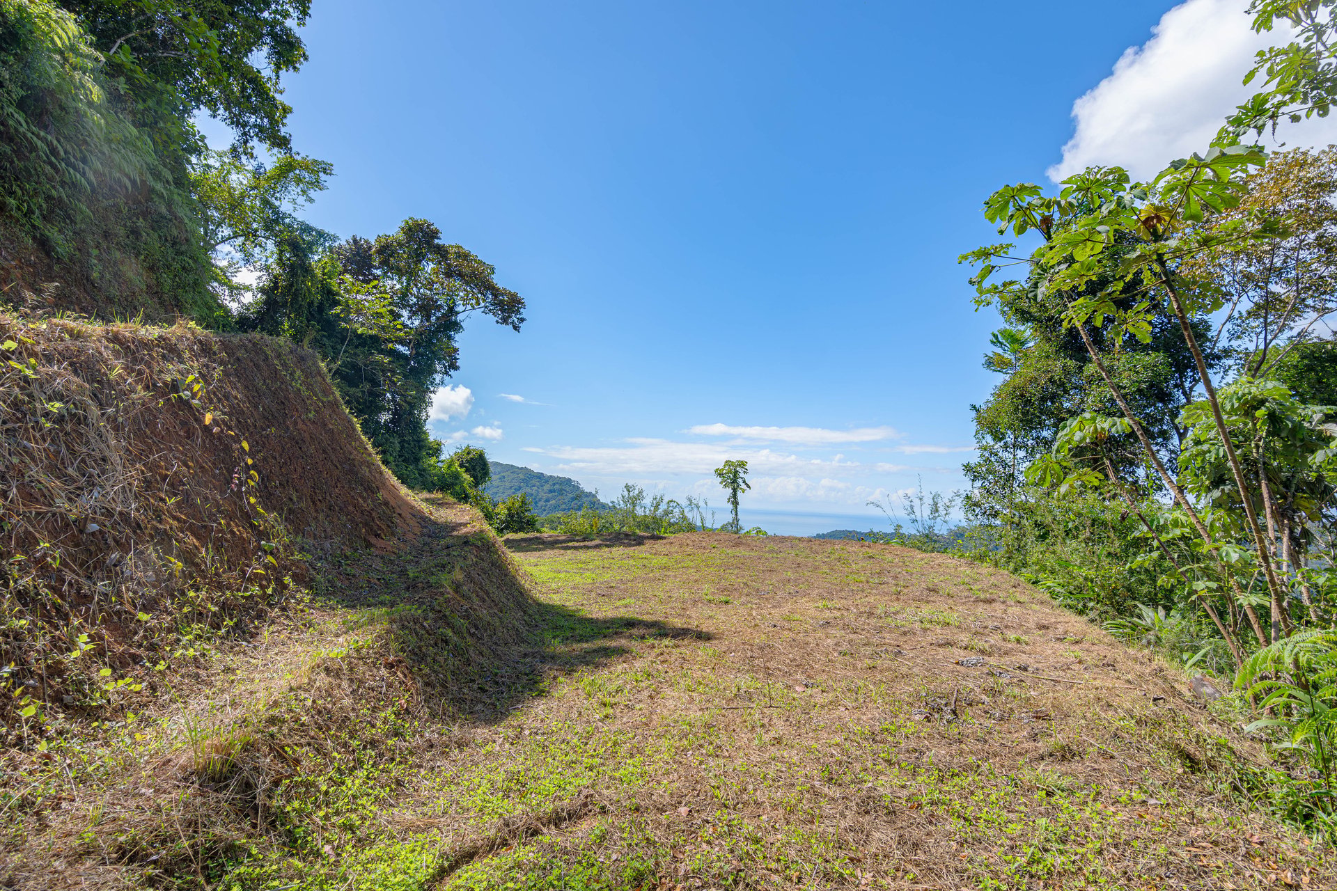 A Rare Thermal-Wellness Development Opportunity - Cacao Estates