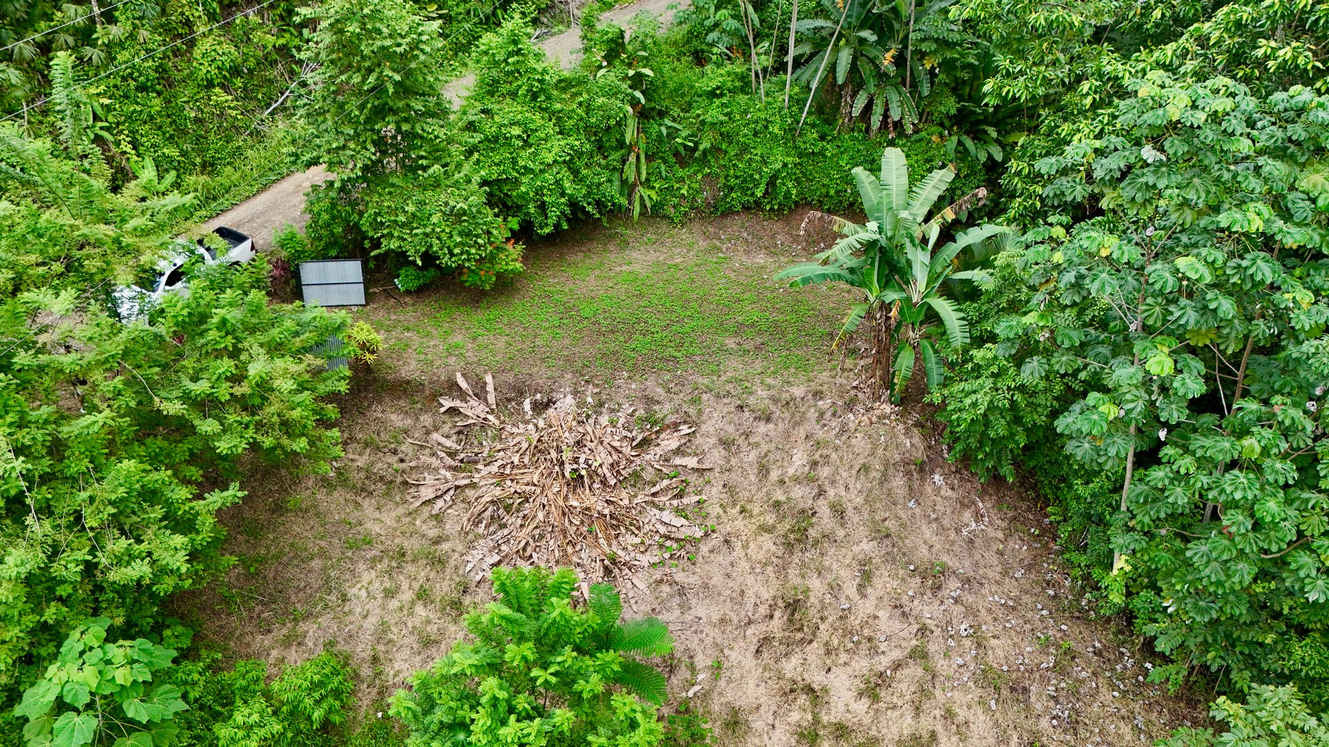Tres Ríos Jungle Sanctuary | Ready-to-Build Lot Surrounded by Nature