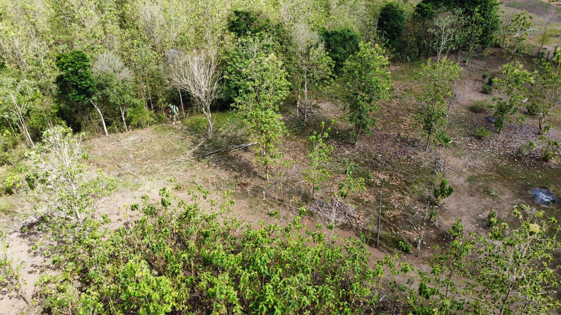 Off the grid property | Located in a privileged area, surrounded by natural beauty