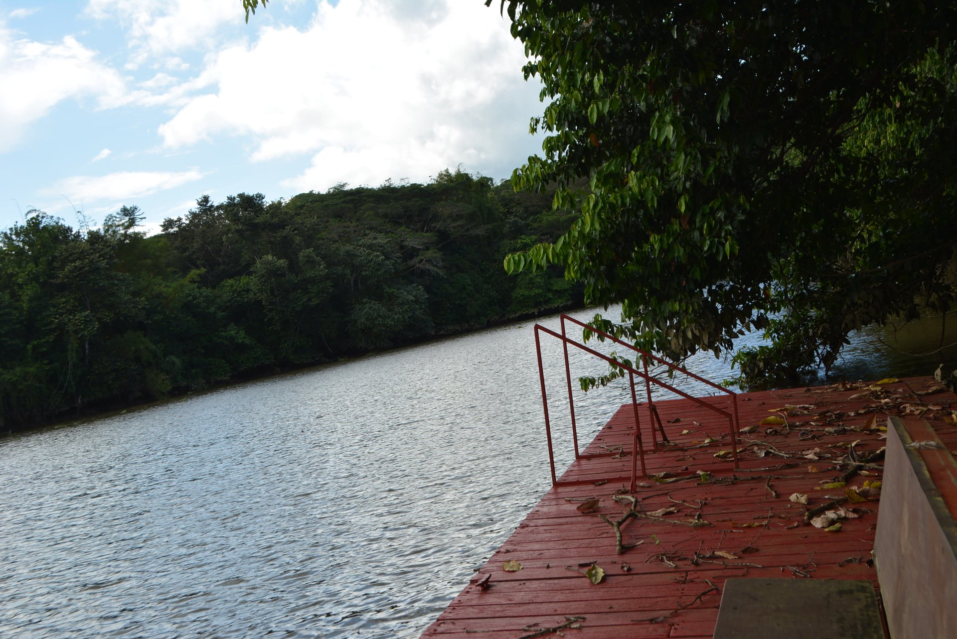 Sierpe River Front Home Casa De La Mariposa Amarillo