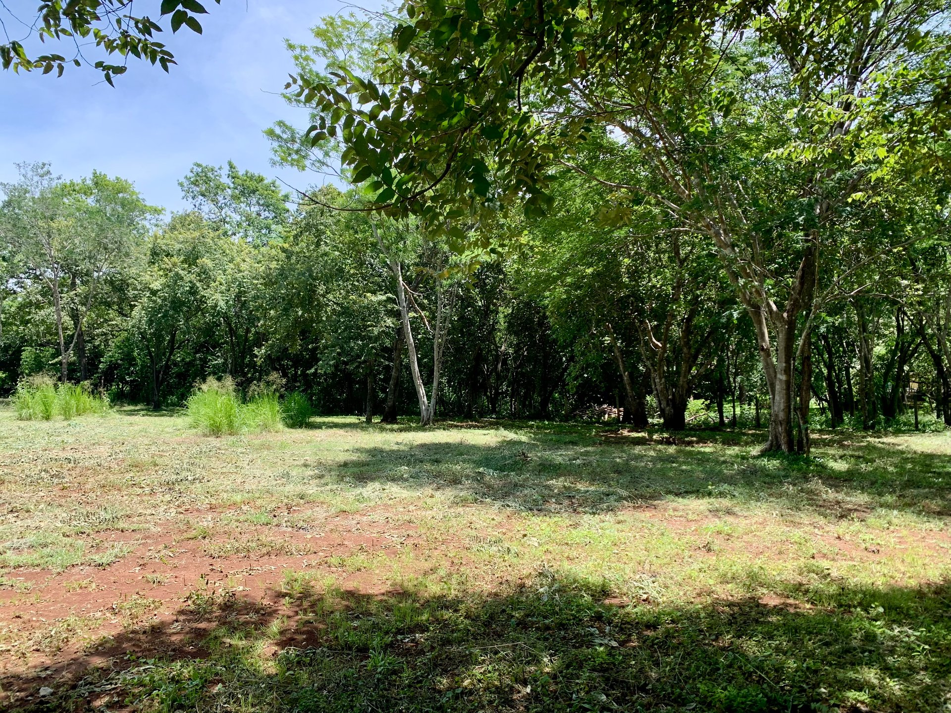 Hammock Plantación | Spacious Agricultural Land Near Playa Negra