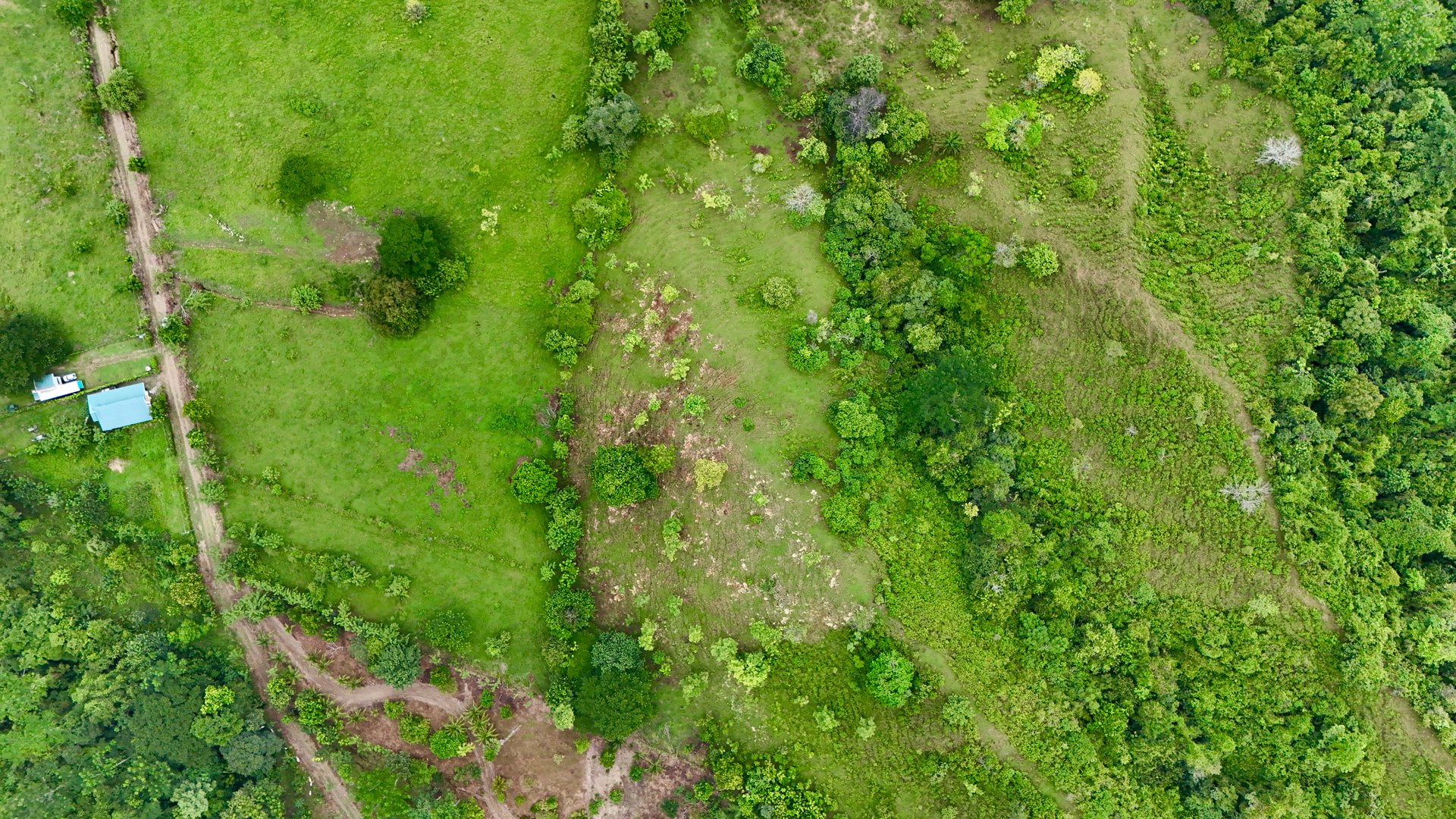 Ocean View Sanctuary in San Buenas – 4.94 Acres of Pastures & Easy Accessaccess