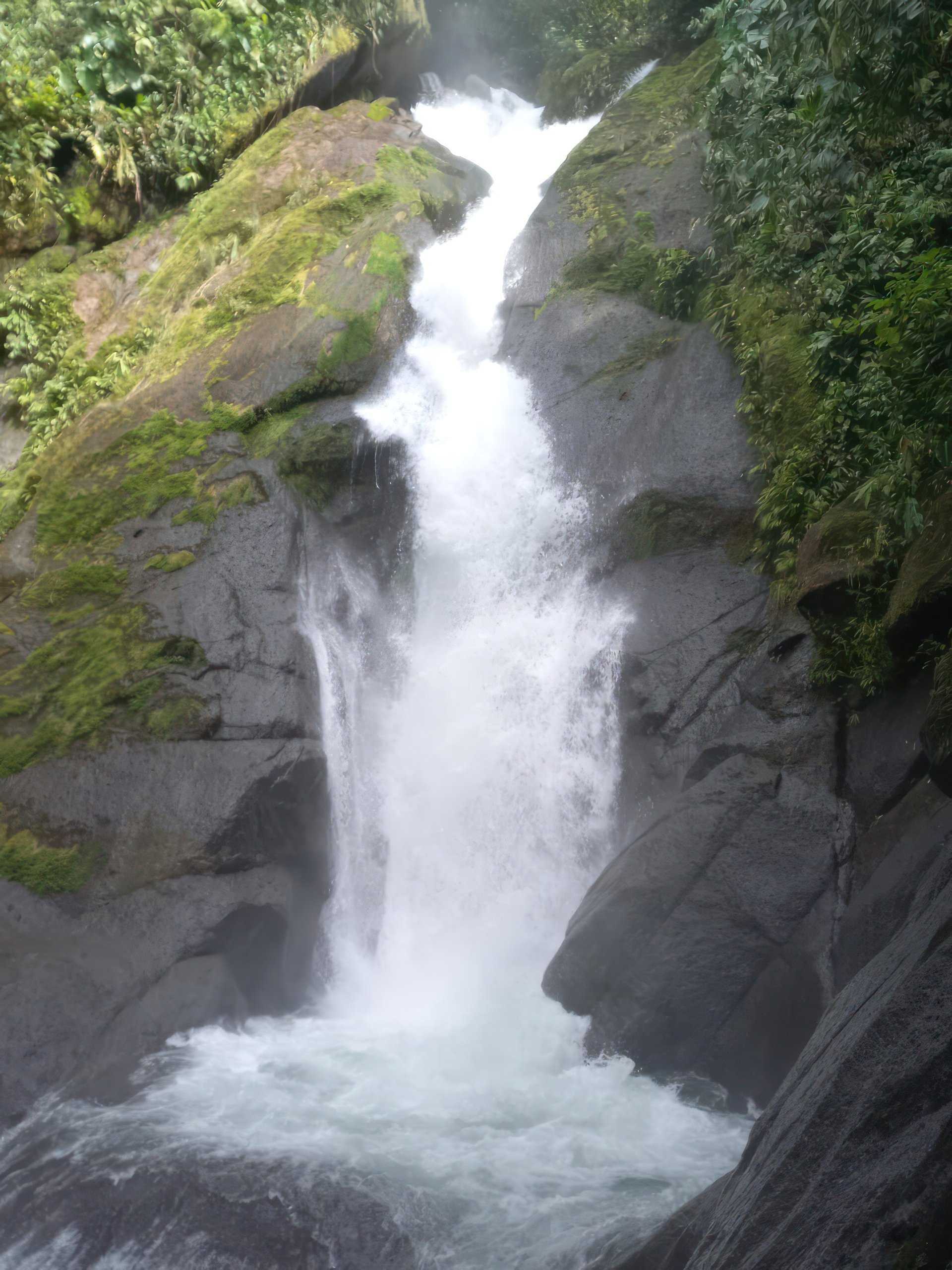 61 Acres of Pure Nature for Off-Grid Living & Conservation | Quepos