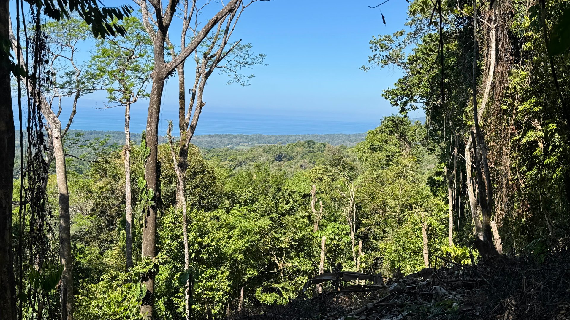 Unique Opportunity, Panoramic Ocean Views of the Whale's Tail Beach!