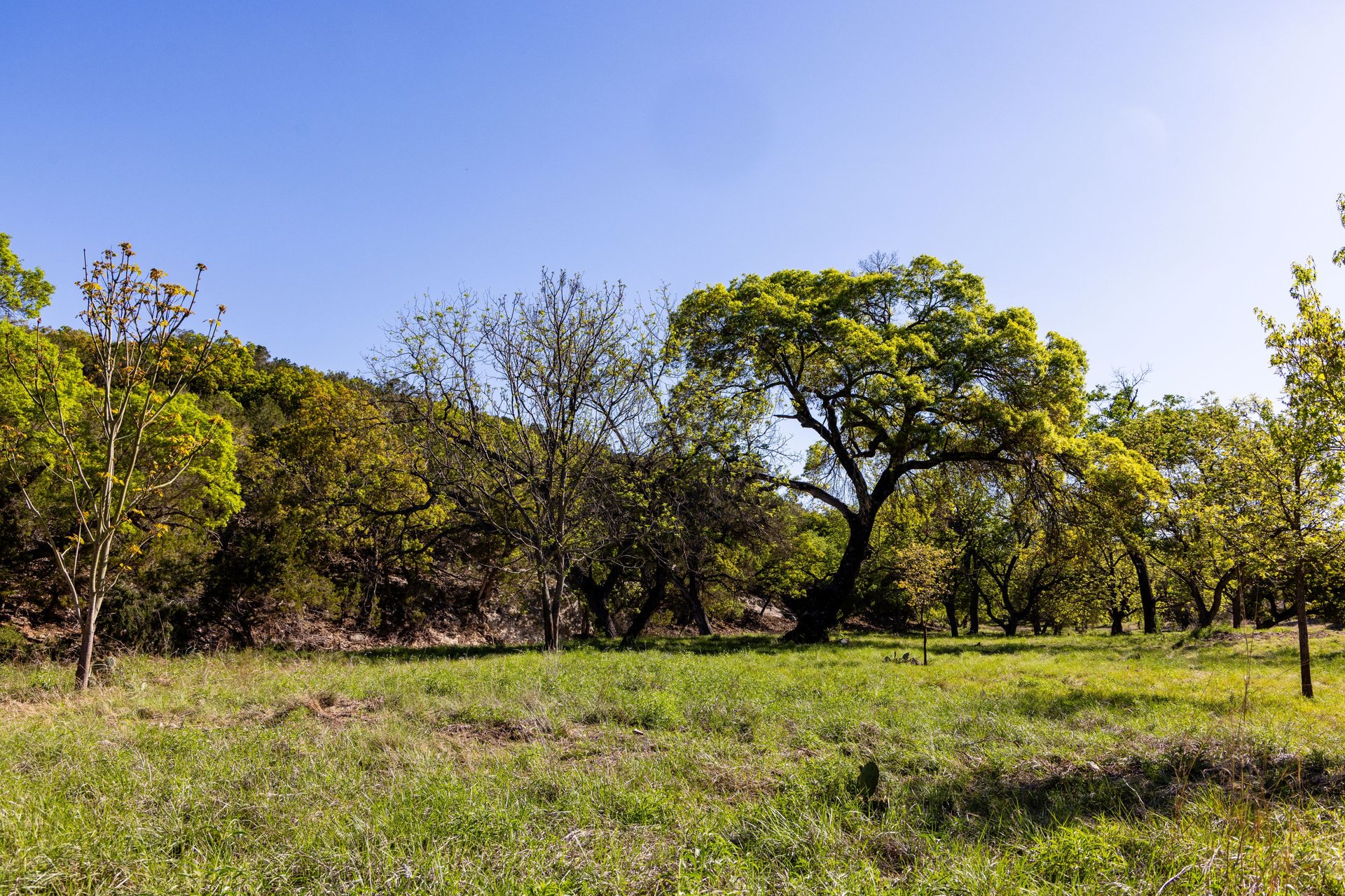 1340 Ranch