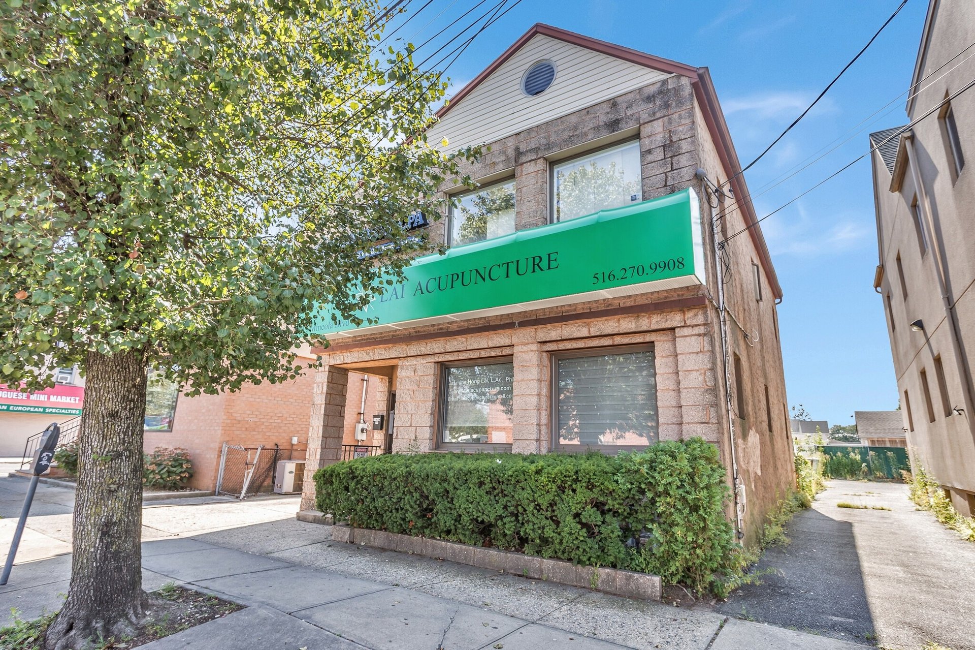 219 Mineola Blvd