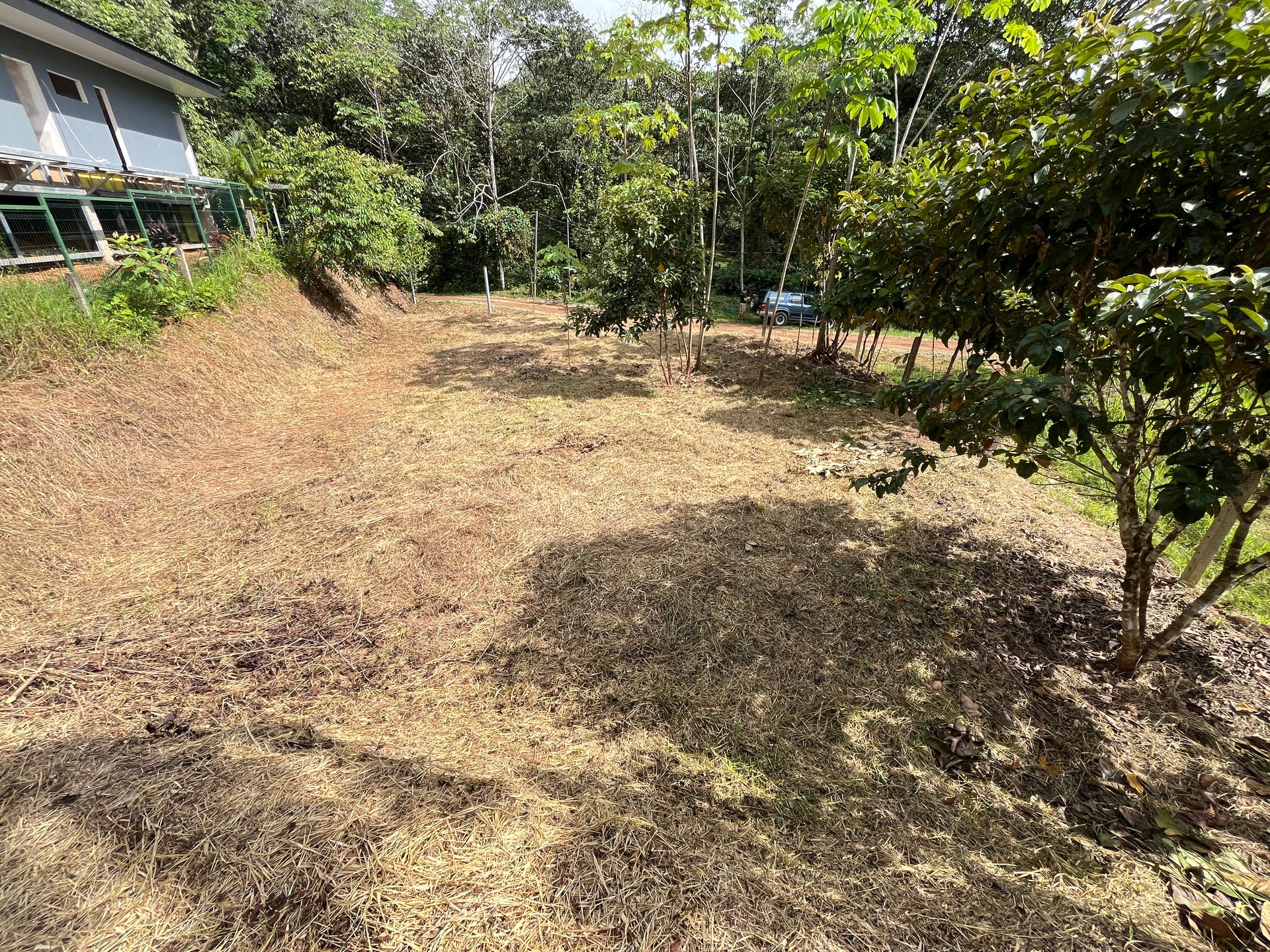 Affordable Uvita Lot UNDER $200-per-sqm - Perfect for Your Dream Home or Airbnb Investment