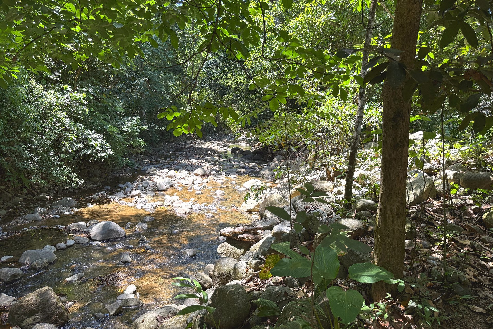  Gorgeous Jungle Hotel with 11 Beds including Owner/Manager Unit, Sparkling Pool & River Setting in Ojochal Costa Rica